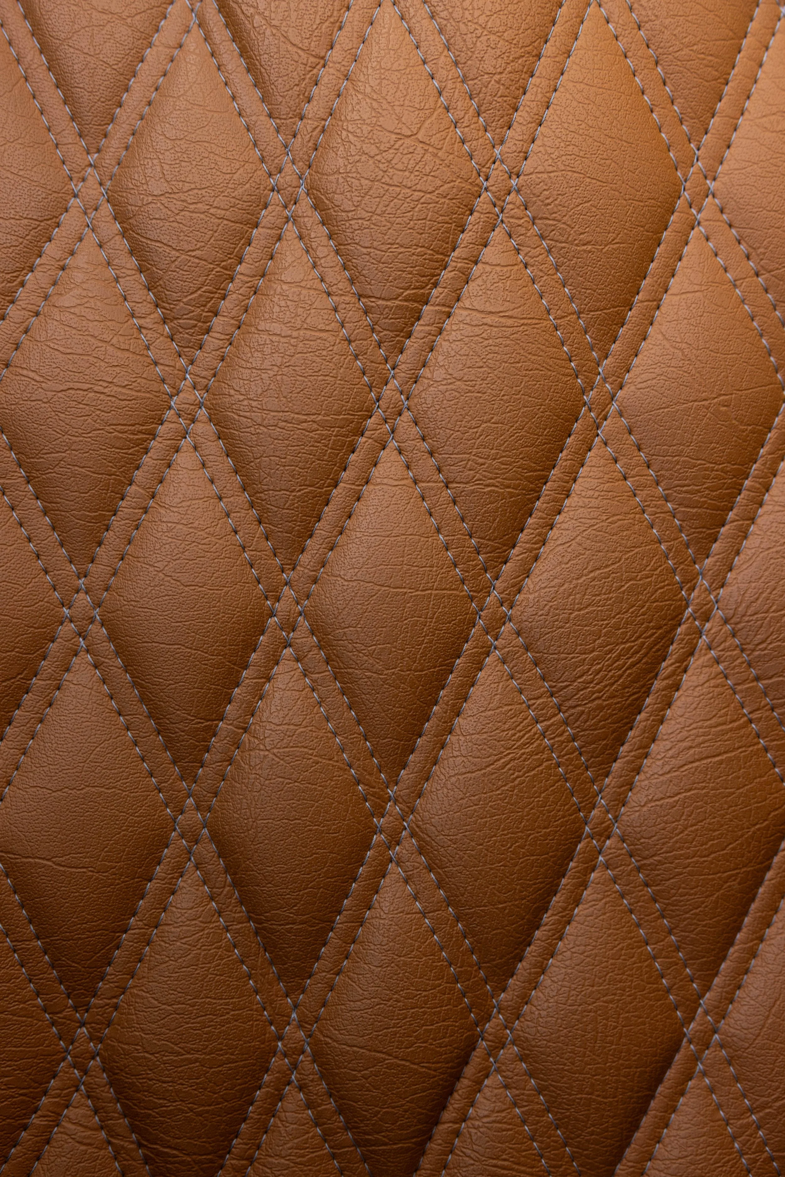 0V9A6081.jpg