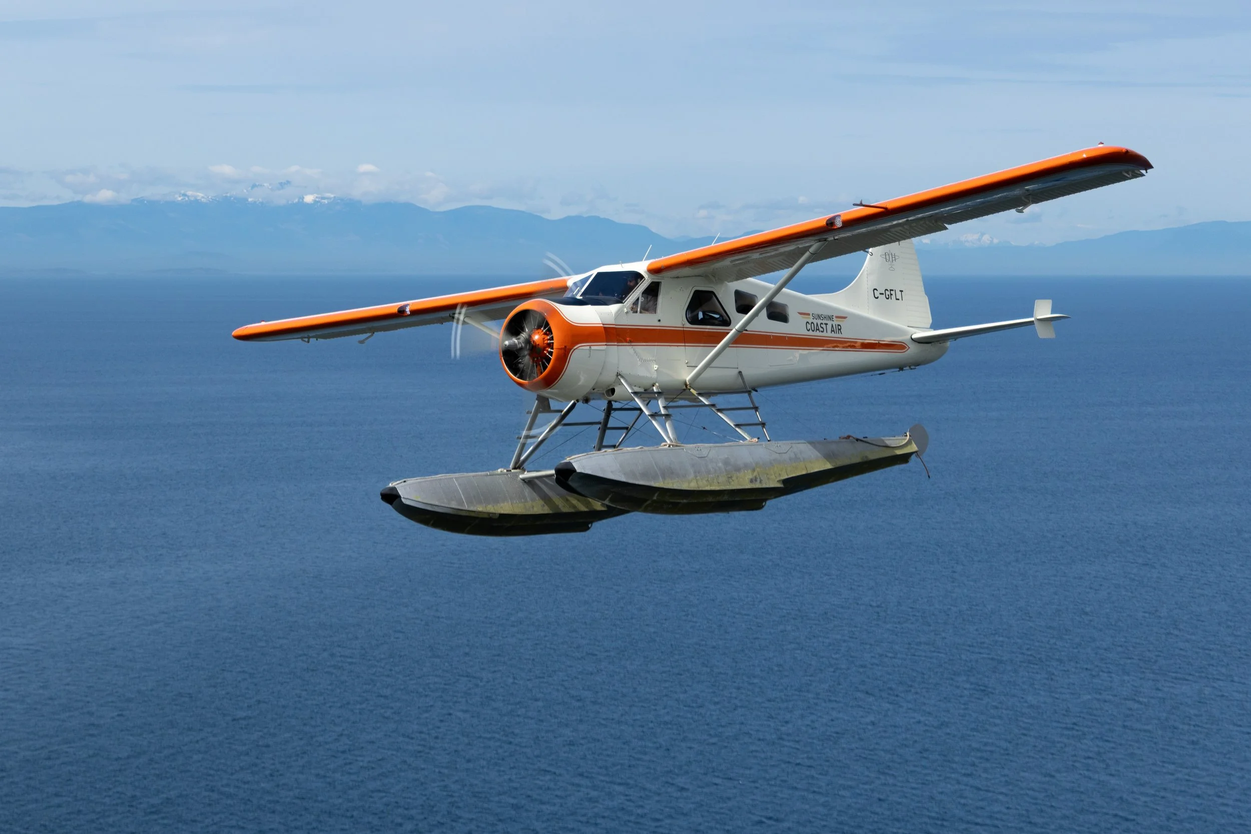 0V9A3106.jpg