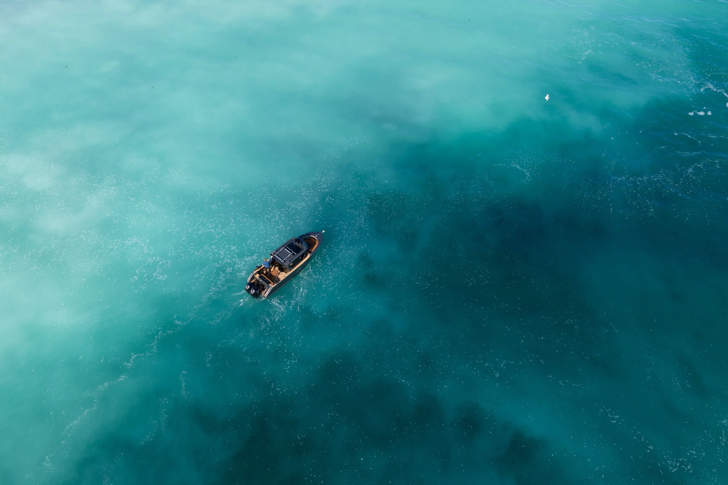 DJI_20260305113200_0844_D.jpg
