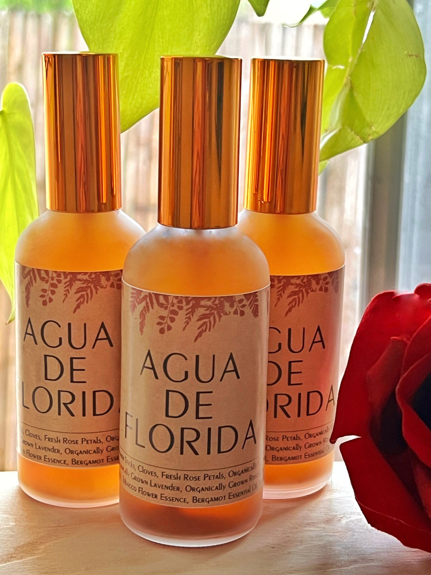 Agua de Florida Mist | Spiritual Cleansing Water Protection | Blessings |  Removes Heavy Energy