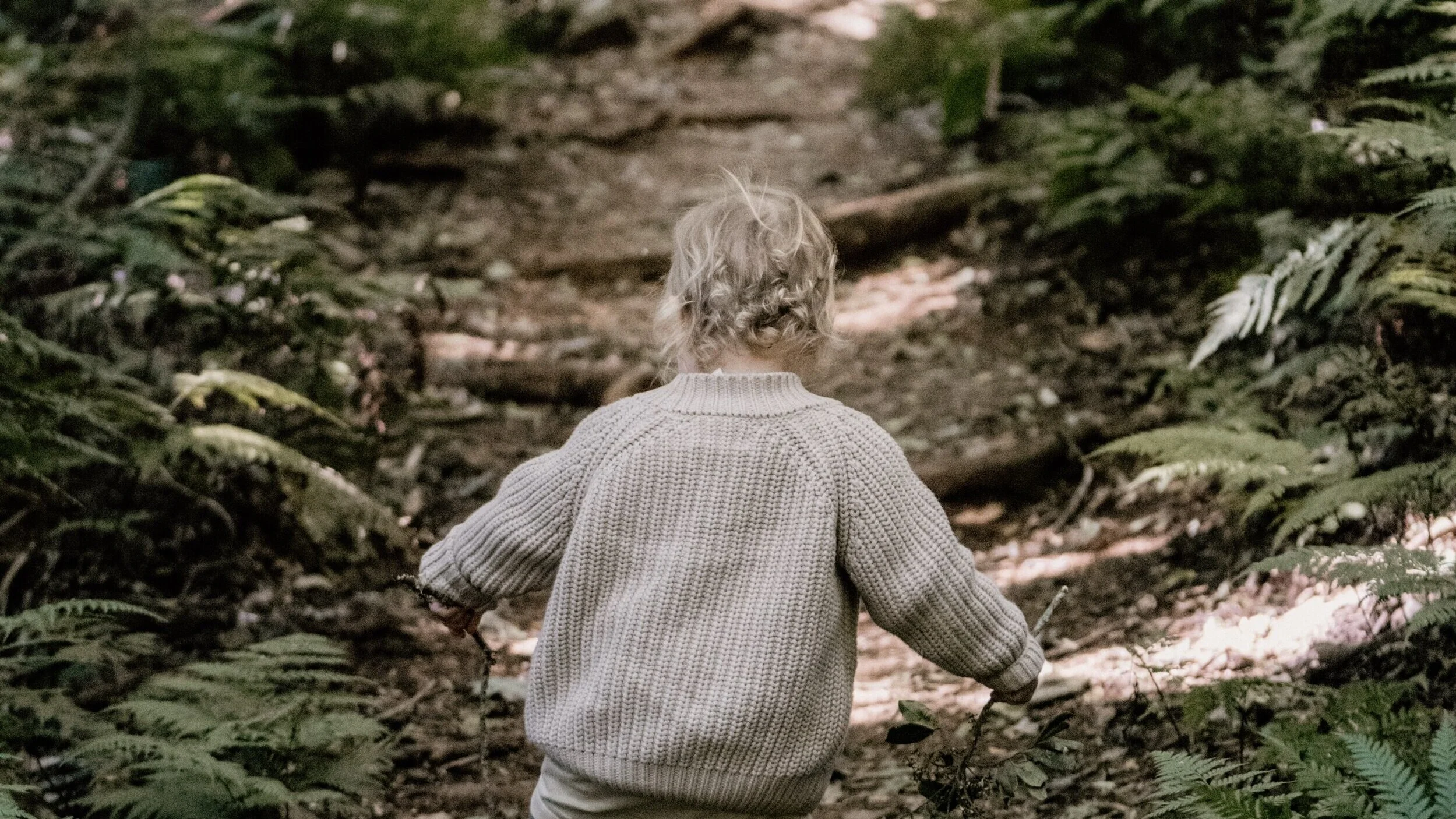 Copy of Toddler Nature Walk.jpeg