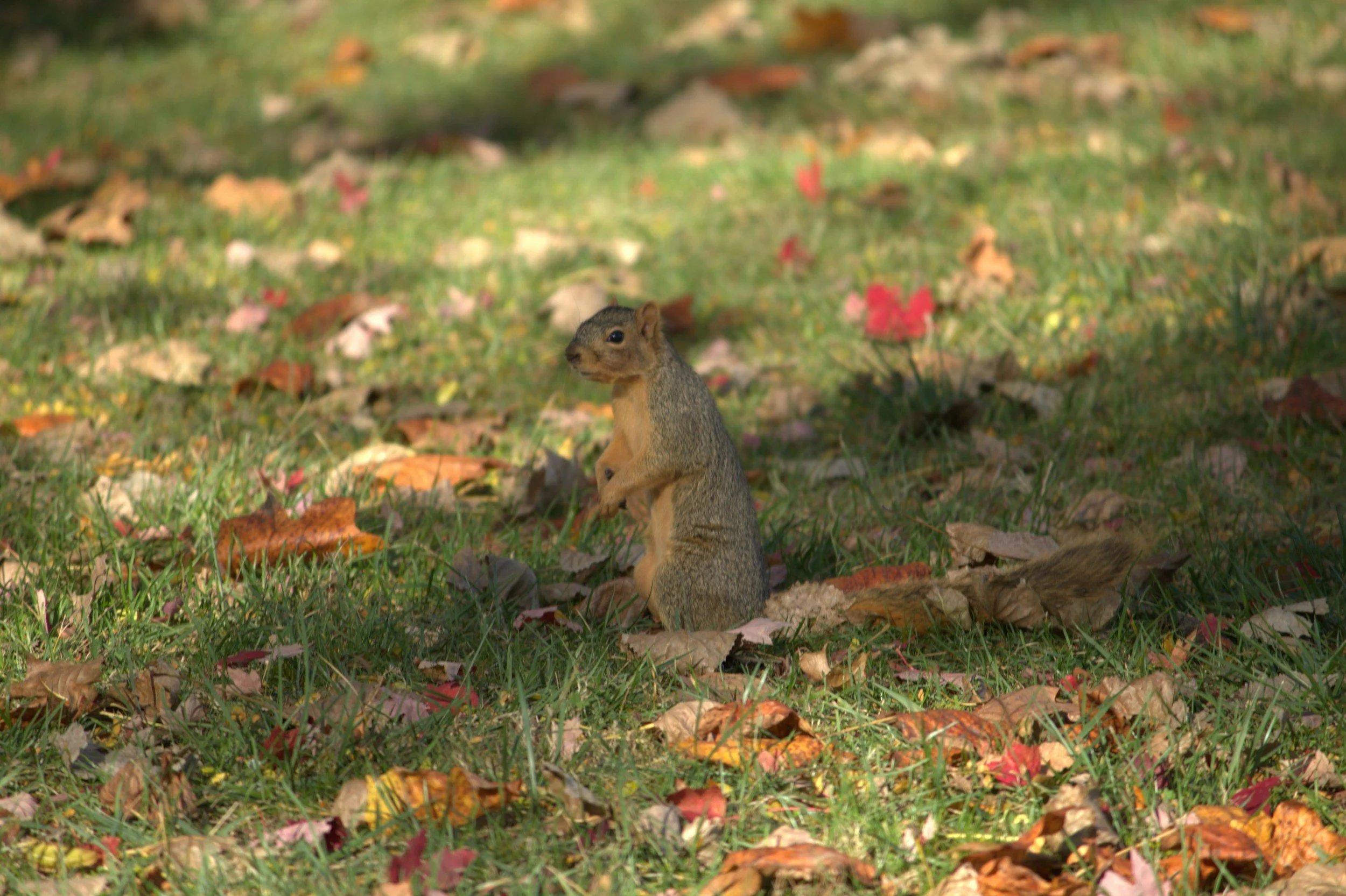 When Energy Fades: Finding Steadiness as the Season Slows Down