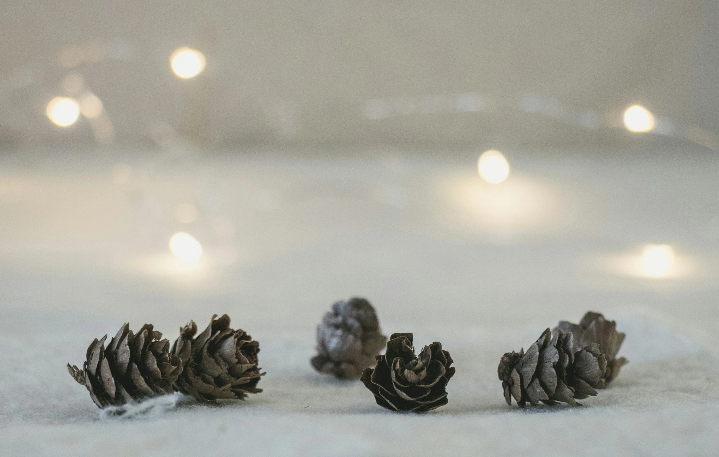 A Gentler Way to Move Through the Holidays