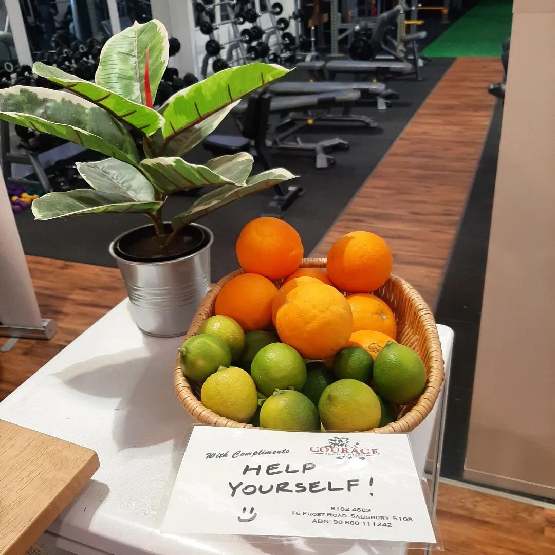 This mornings offerings of fresh fruit from our organic gardens here @couragehealthfitness 
Build your immunity with oranges &amp; limes today!
#couragehealthfitness #teamcourage #organicgarden #adelaidefitness