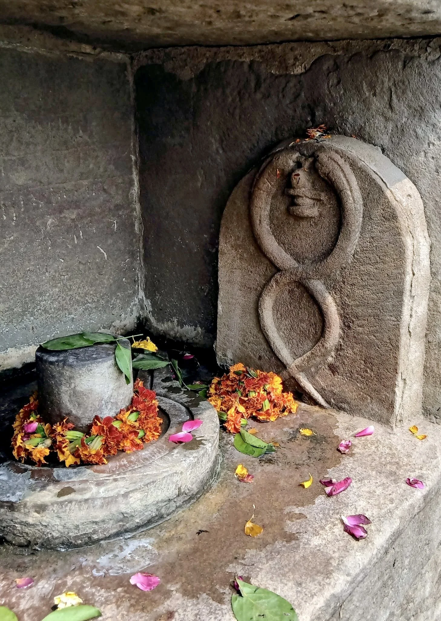 India Yoga Retreat: <span class="sqsrte-text-color--white">Spiritual Journey to the Roots of Yoga</span>