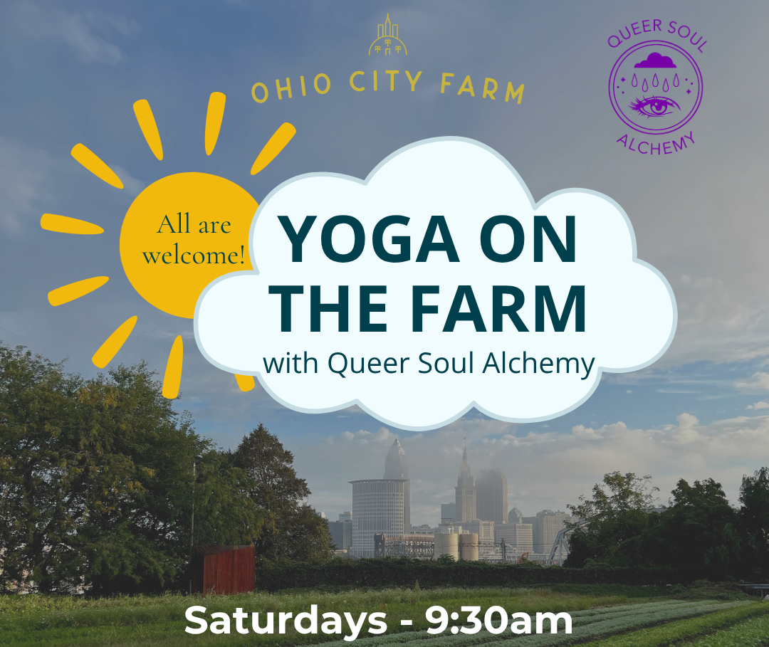 Connect with like-minded people, learn about Yoga and meditation in a supportive environment, and spend time connecting with nature. Queer Soul Alchemy specializes in hosting Yoga classes, events, queer travel retreats, and transformational Yoga retr