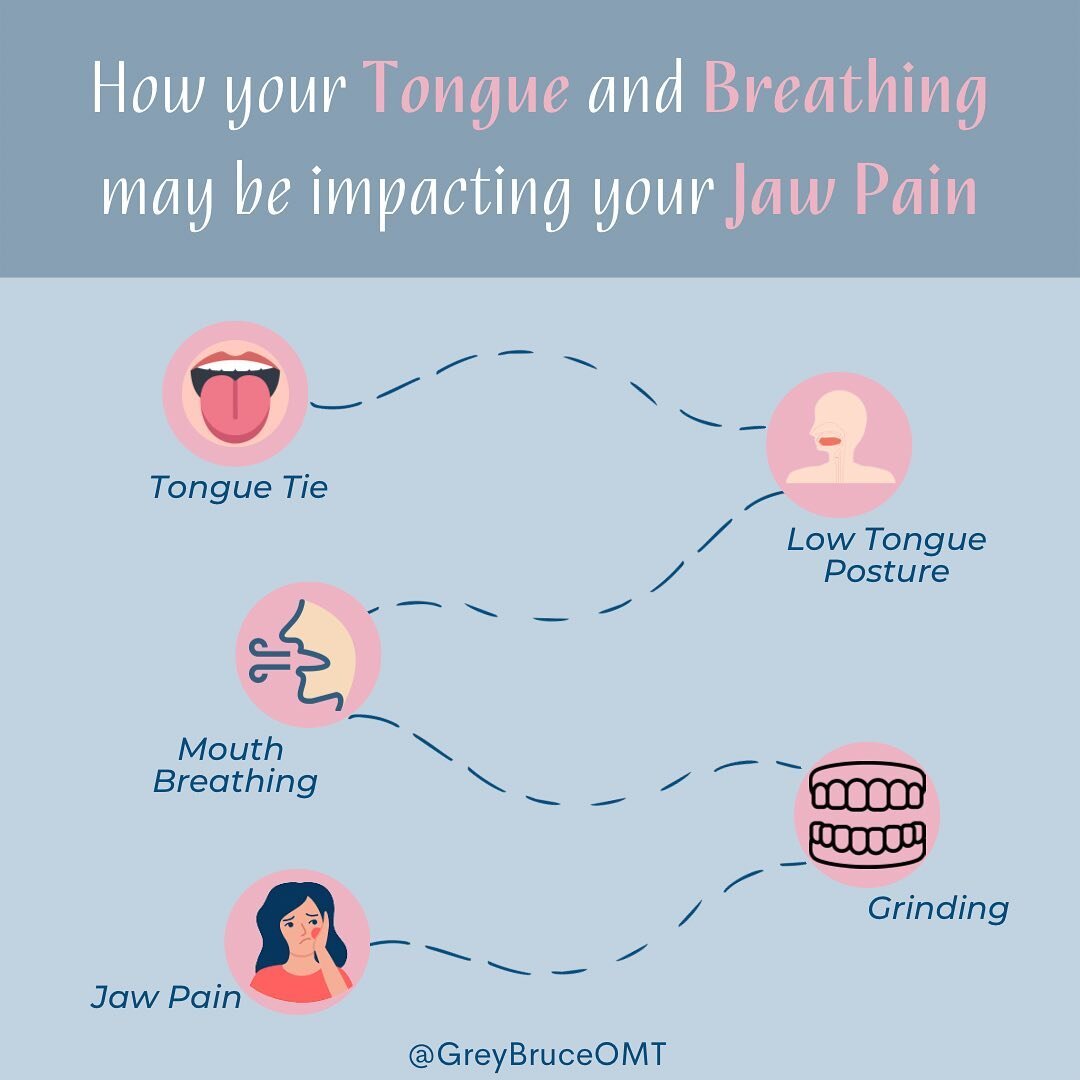 If you have jaw pain, you should have your tongue and breathing patterns assessed. 

Why?? 

Tongue tie &gt;&gt; Low tongue posture &gt;&gt; Mouth breathing &gt;&gt; Teeth grinding &gt;&gt; Jaw pain. *detours possible

One of my favourite analogies f