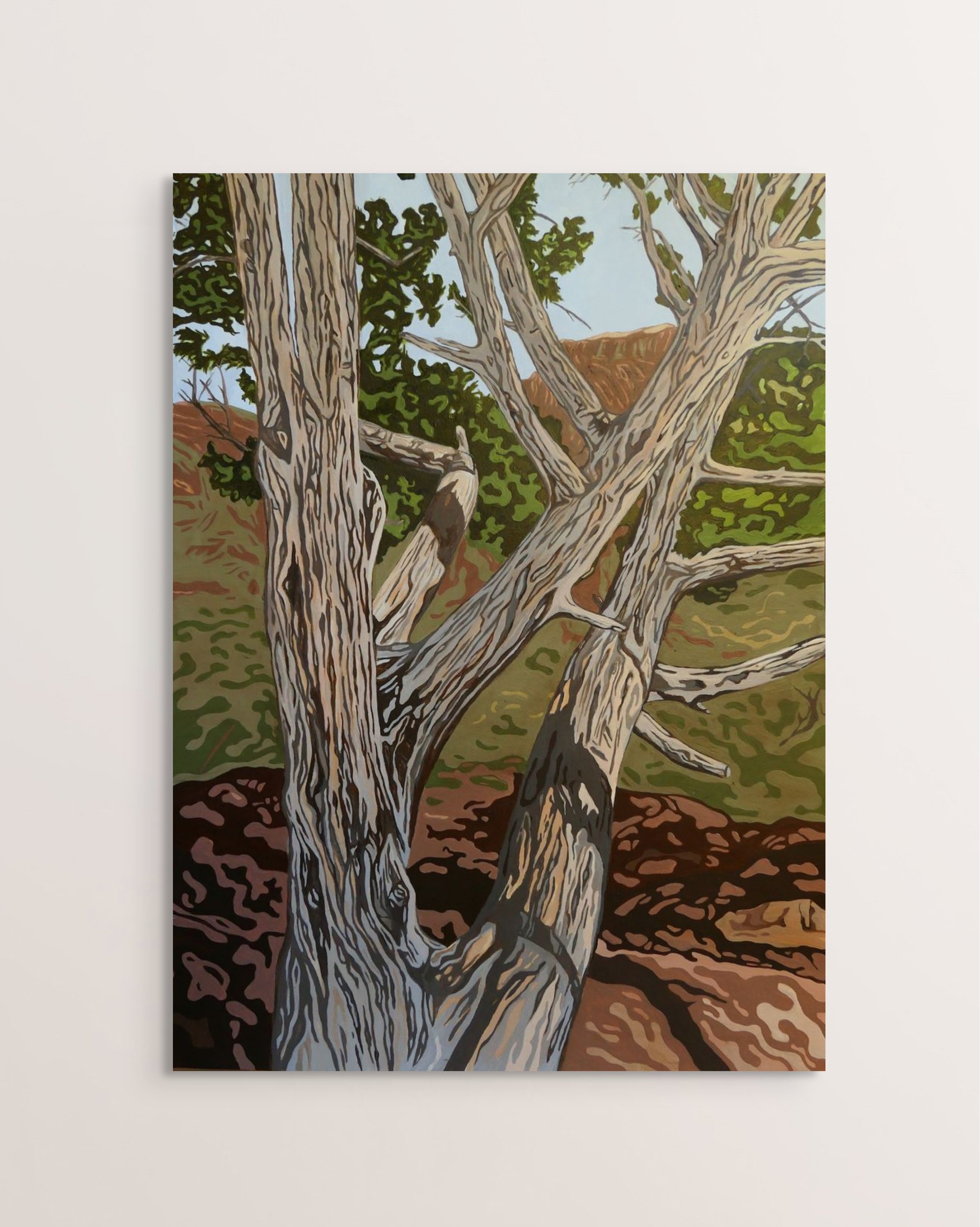 juniper at kolob canyon.jpg