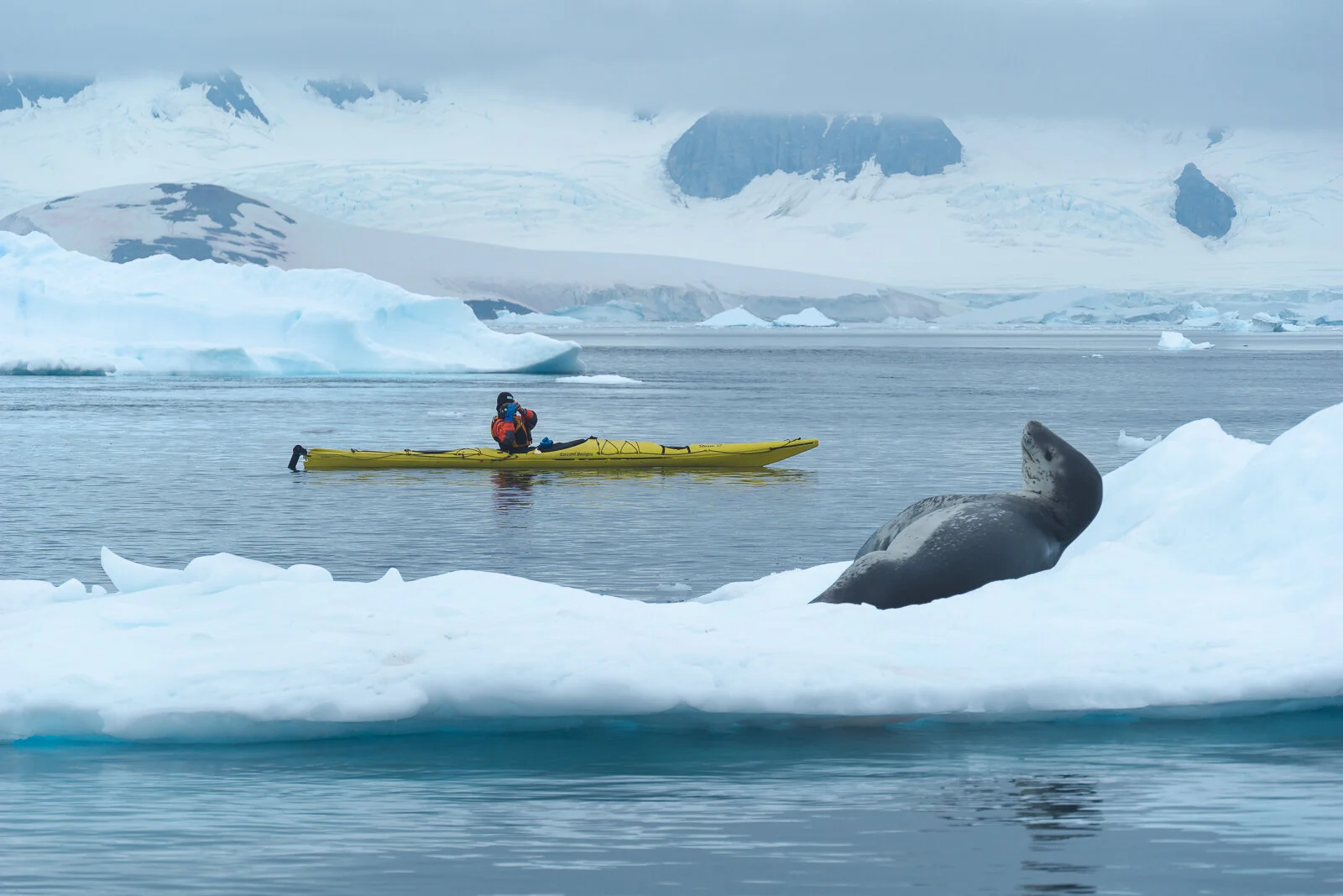 Kayaking in Antarctica with Leopard Seals ©Dagny_Ivarsdottir.jpg