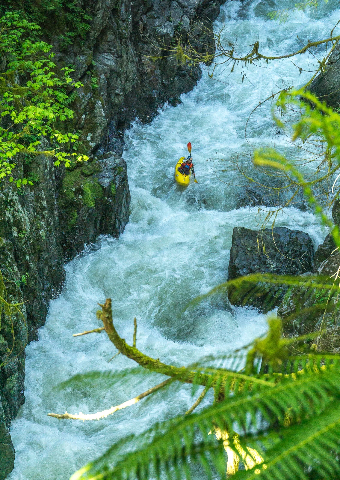 Seymour Whitewater ©Dagny_Ivarsdottir-2.jpg