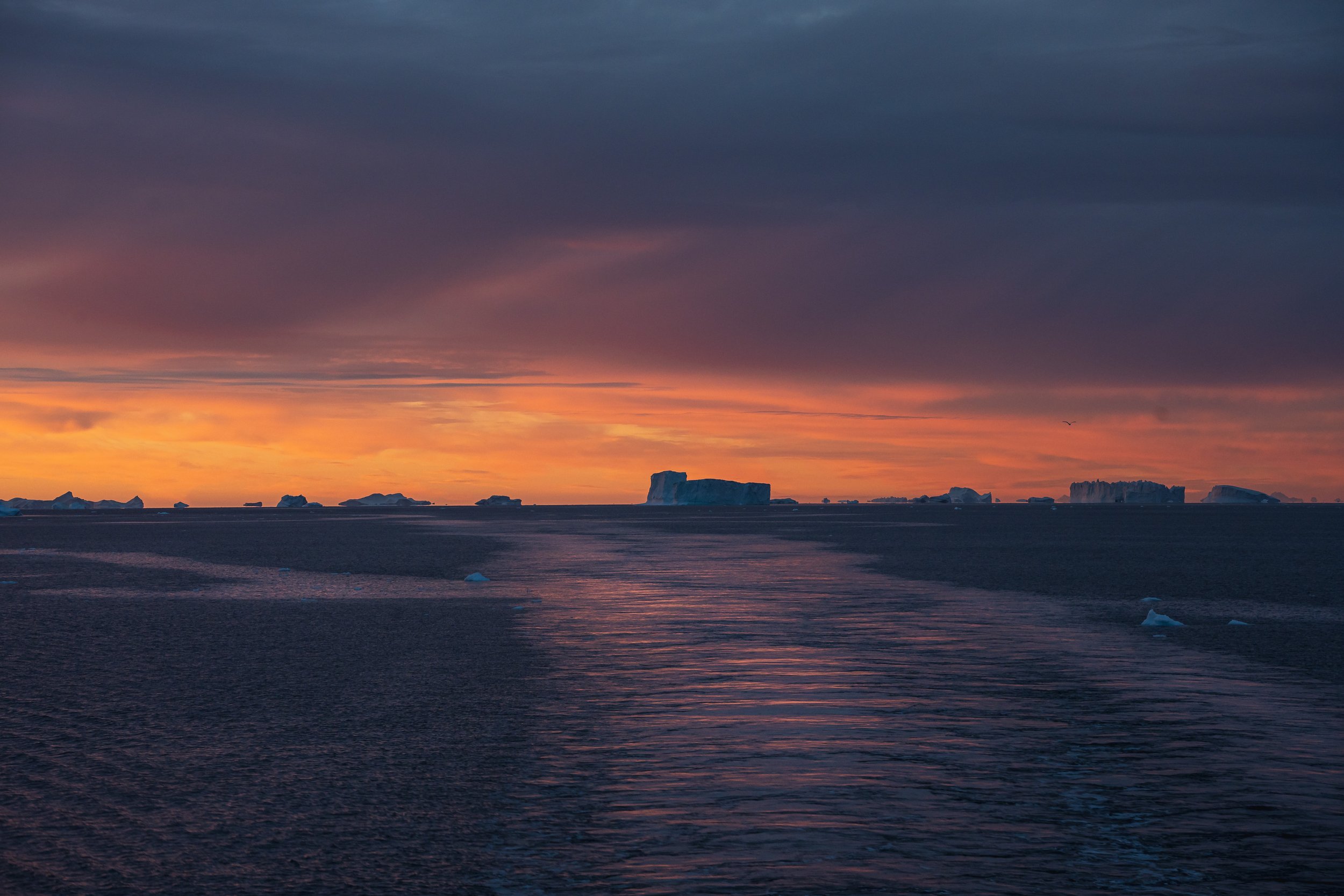 EAST GREENLAND ©Dagny_Ivarsdottir 2022-9.jpg