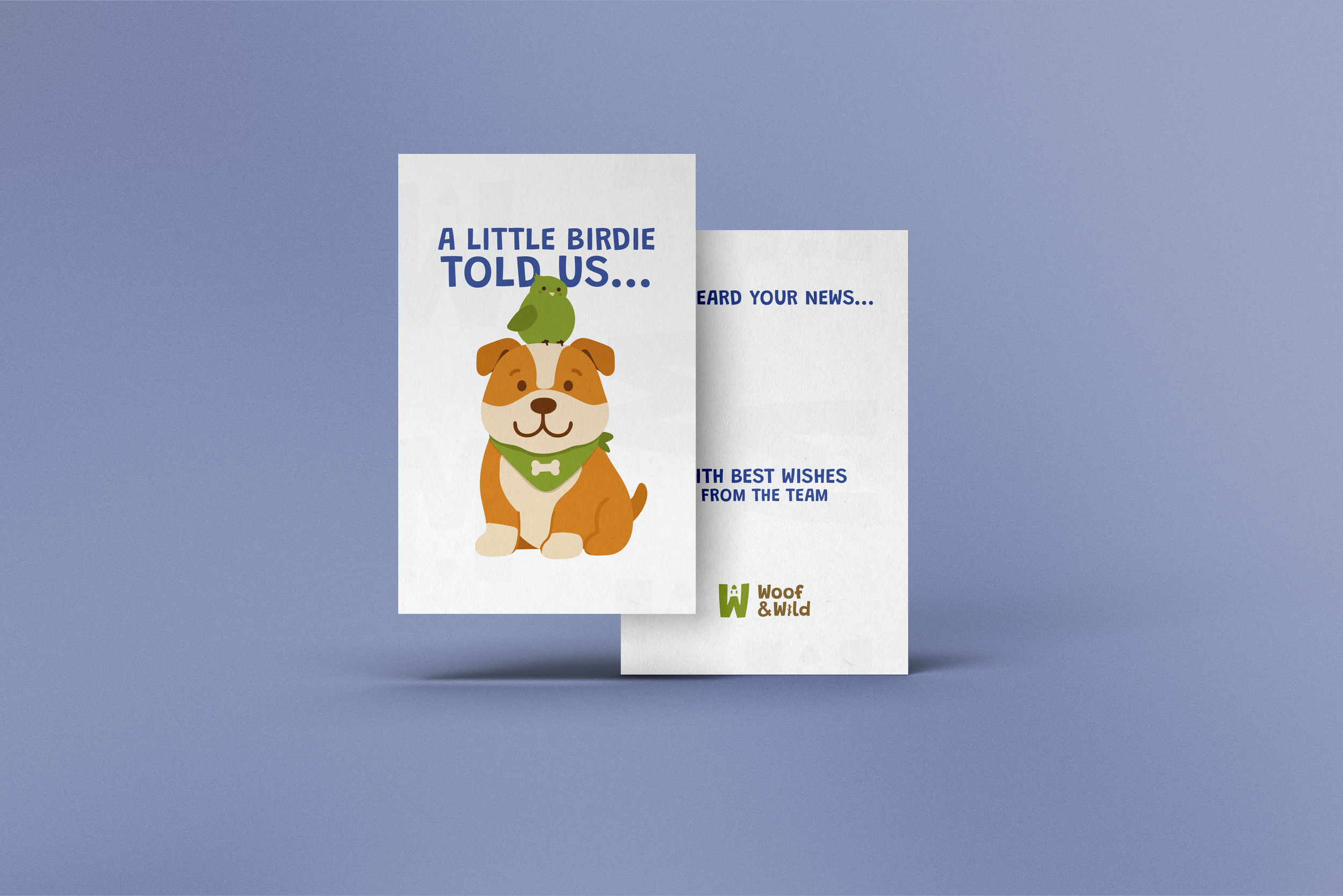 Little Birdie Cards.png