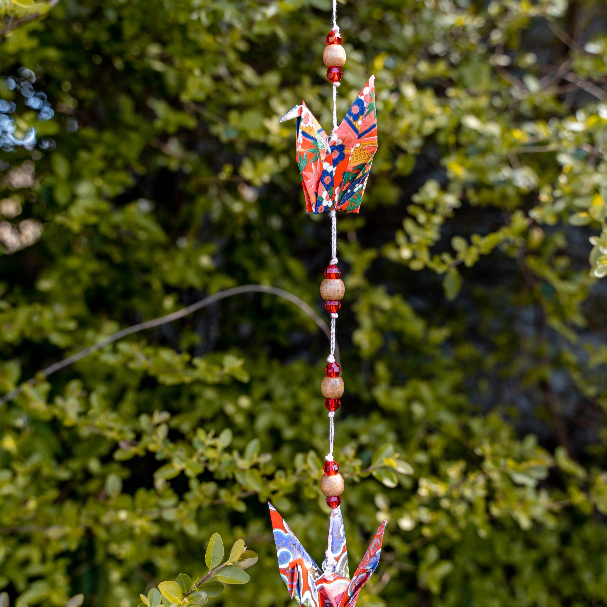 DSC03683.jpg