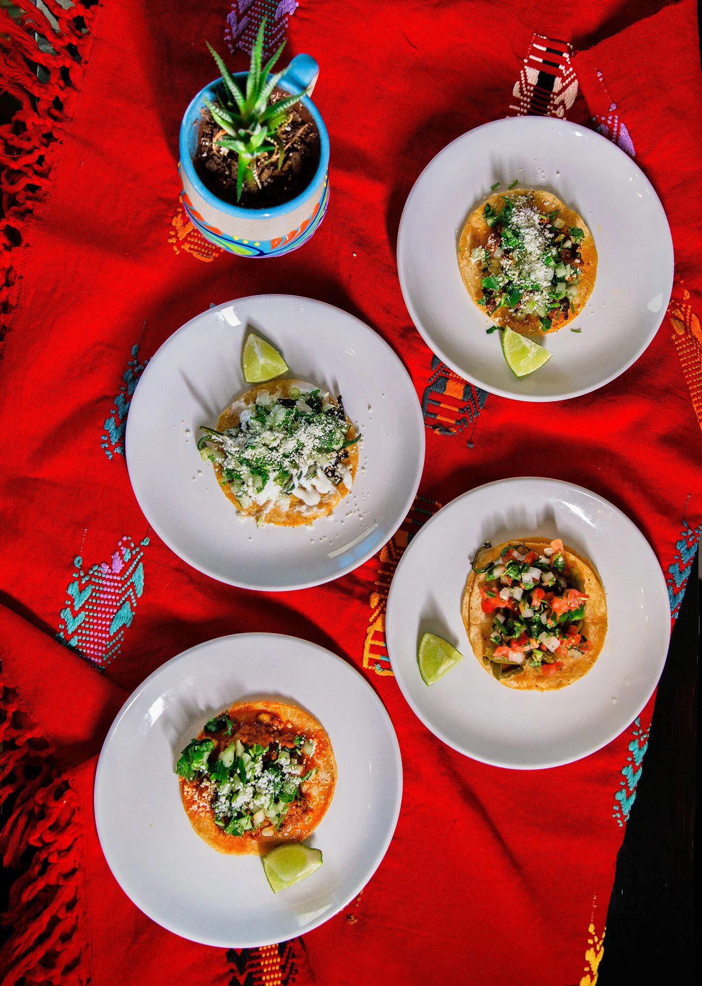 We offer fresh, spicy, made from scratch Mexican dishes from authentic family recipes!
