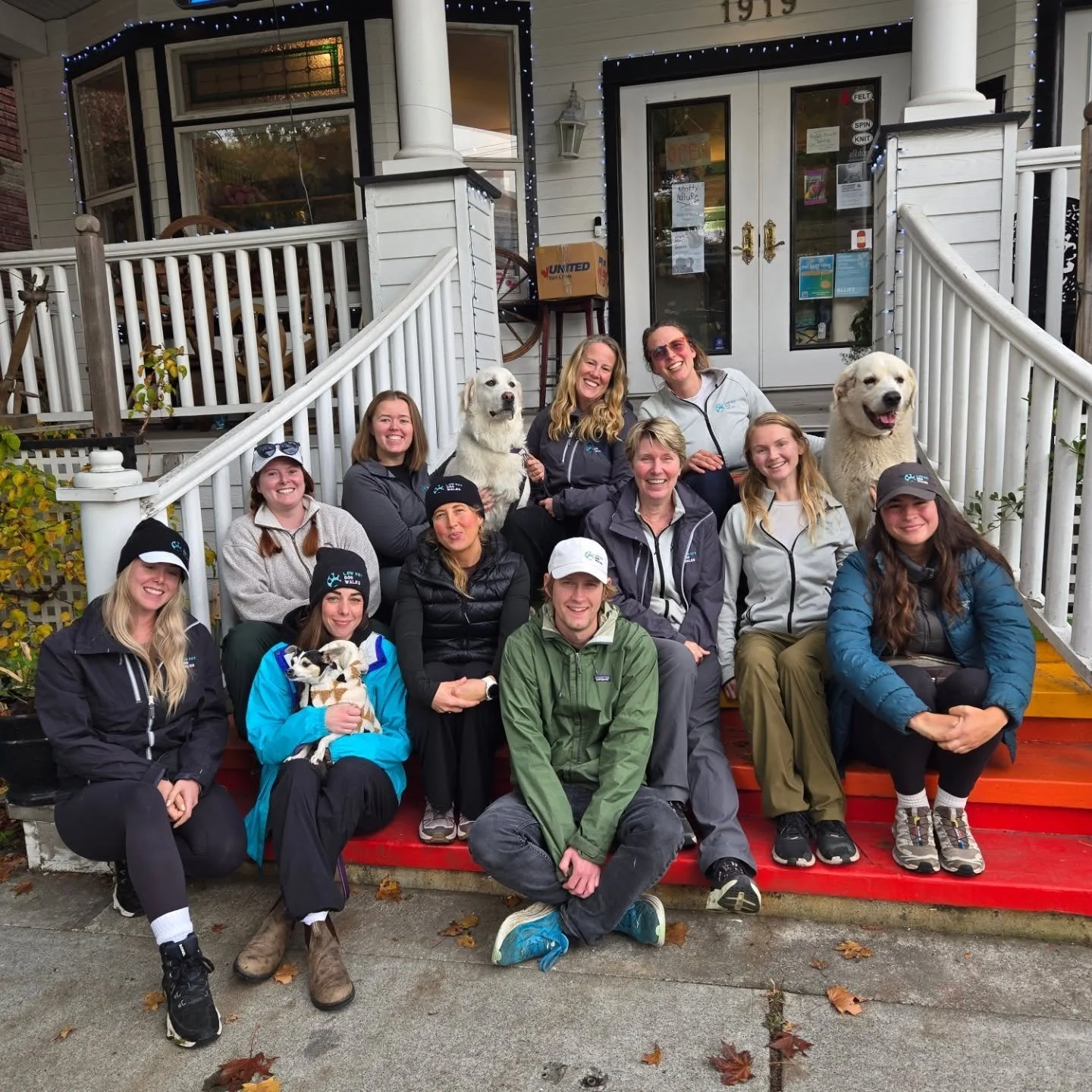 The 👏🏼 Team 👏🏼 Thanks @the_fcaa_ for hosting us in your beautiful Store Front Studio (not pictured). It's quite the feat to gather 11 people during business hours - but we did it! 🙌🏼🤩
Lots of excitement ahead for Low Key Dog Walks. Our theme
