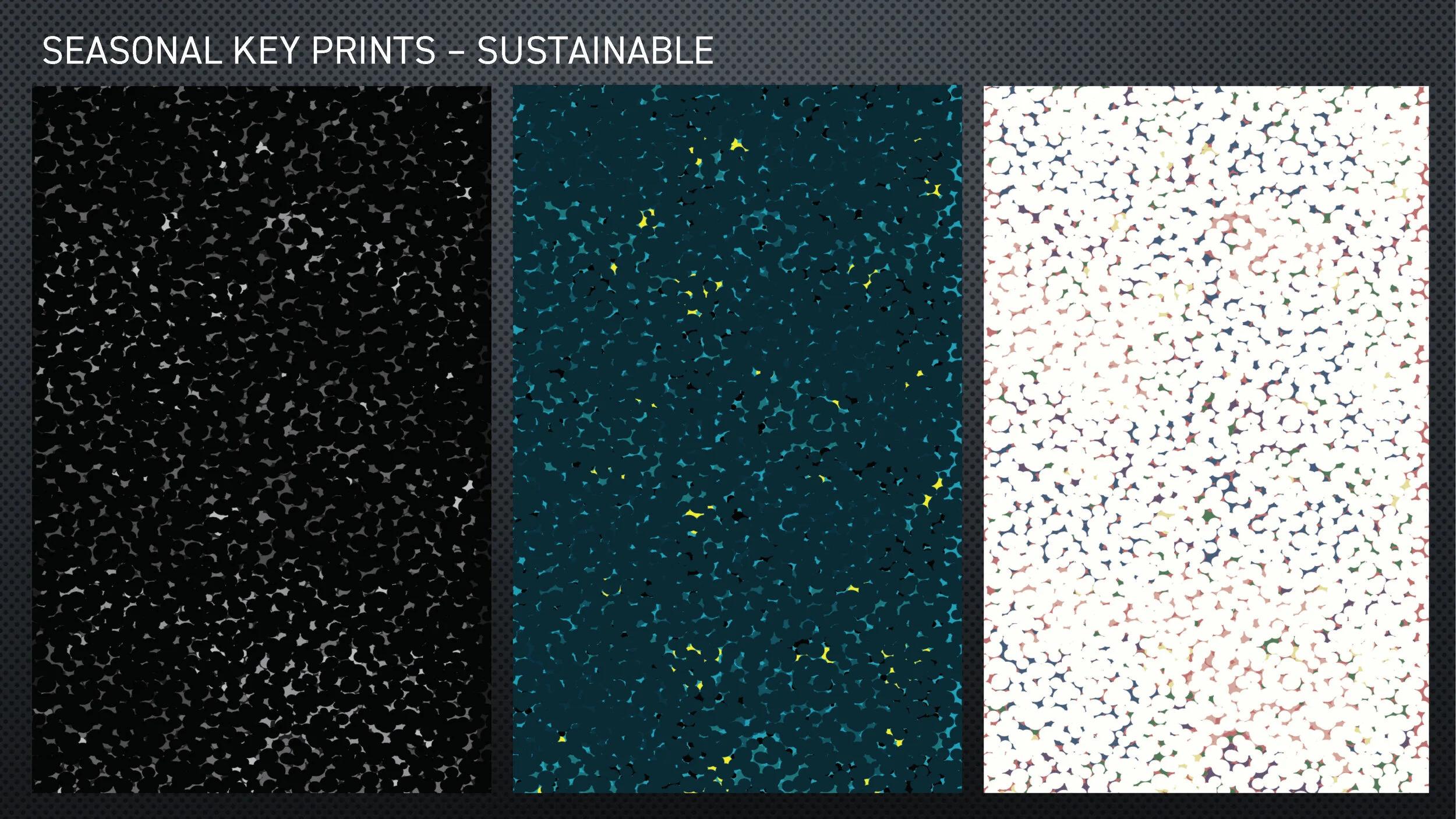 ROADMAP S21 [Autosaved] [Autosaved]_Page_24.jpg