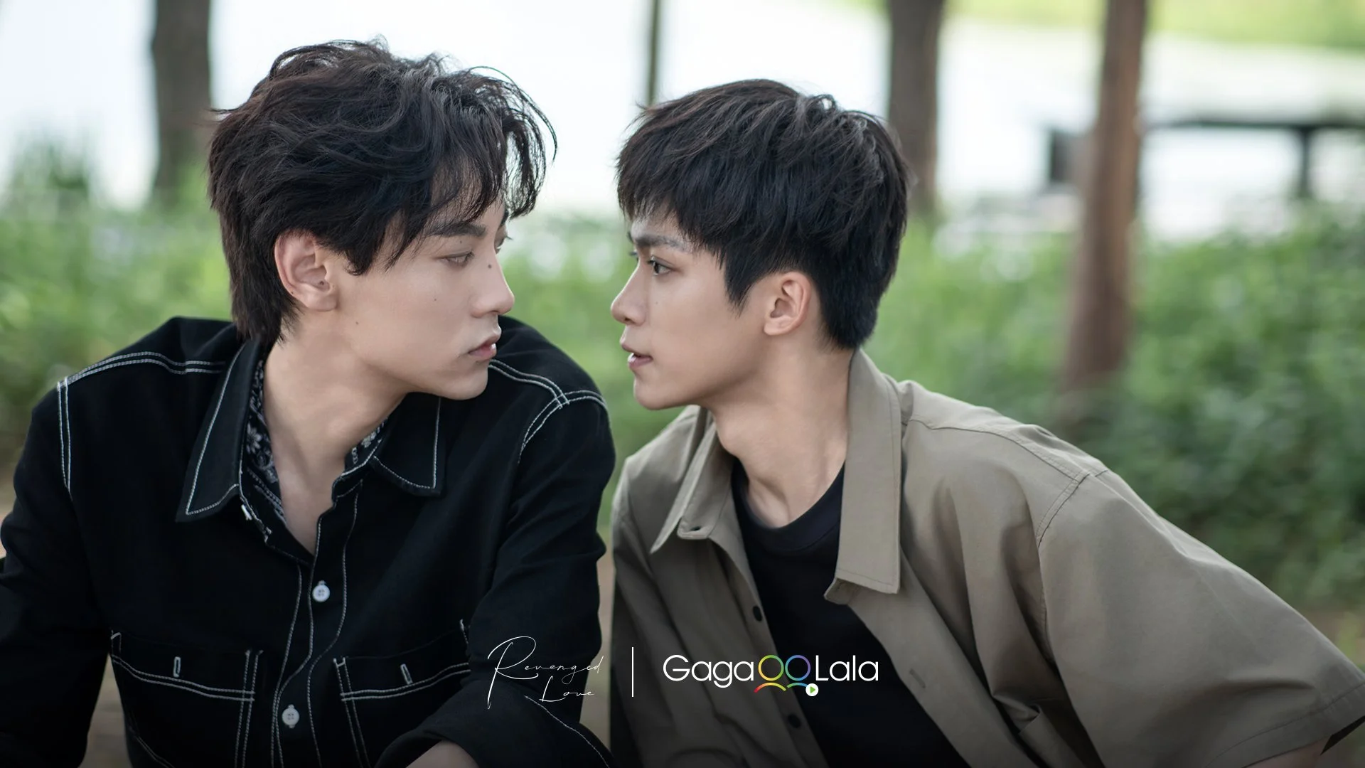 Japan dominates GagaOOLala’s 2025 BL rankings; Chinese-language dramas sweep top three BL series, Taiwan and Japan lead GL list