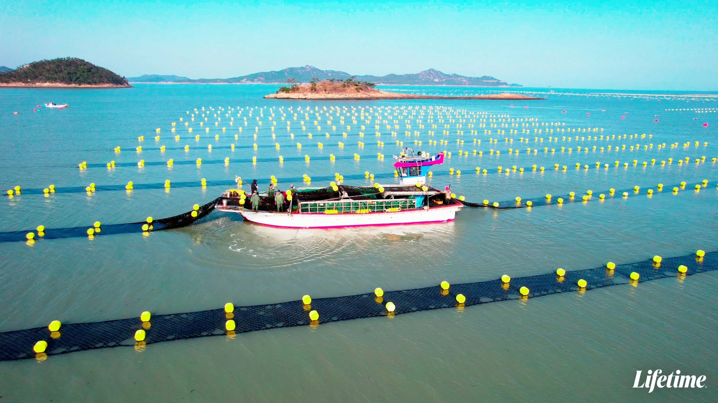 安成宰罕見「反差吃播」曝光　《韓式紫菜革命》走進莞島產地