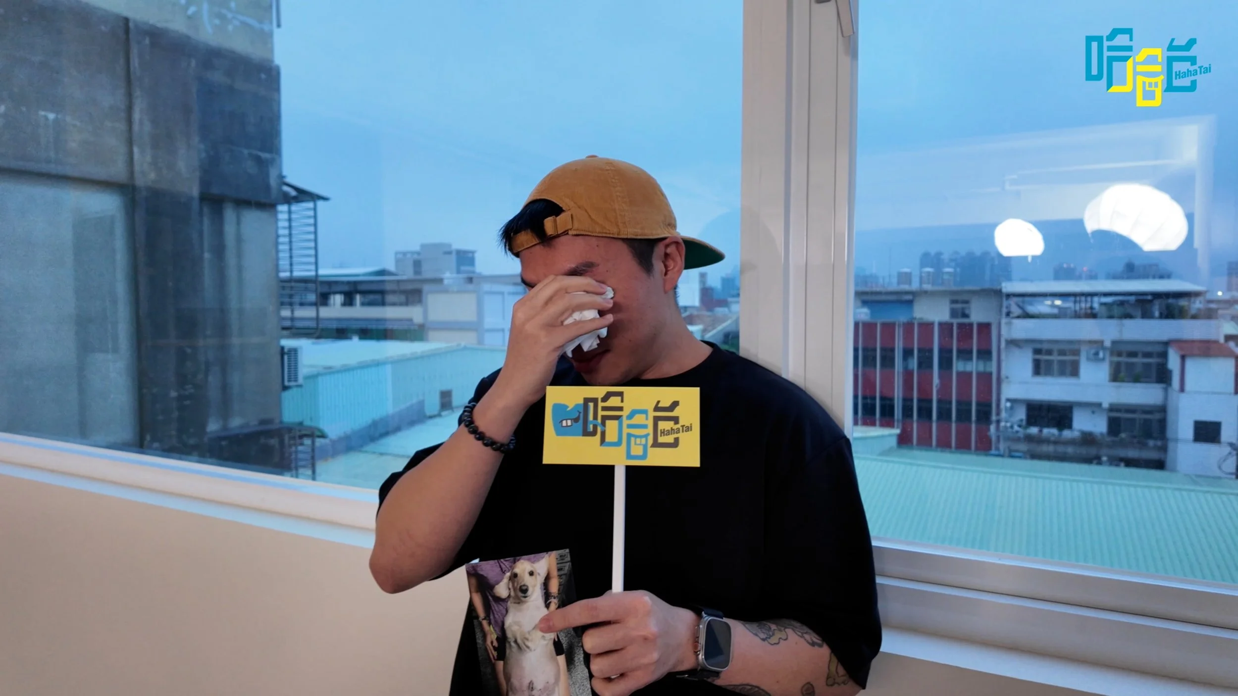 台版《天機試煉場》來了！　寵物溝通師神準道破亡犬遺願逼哭全場