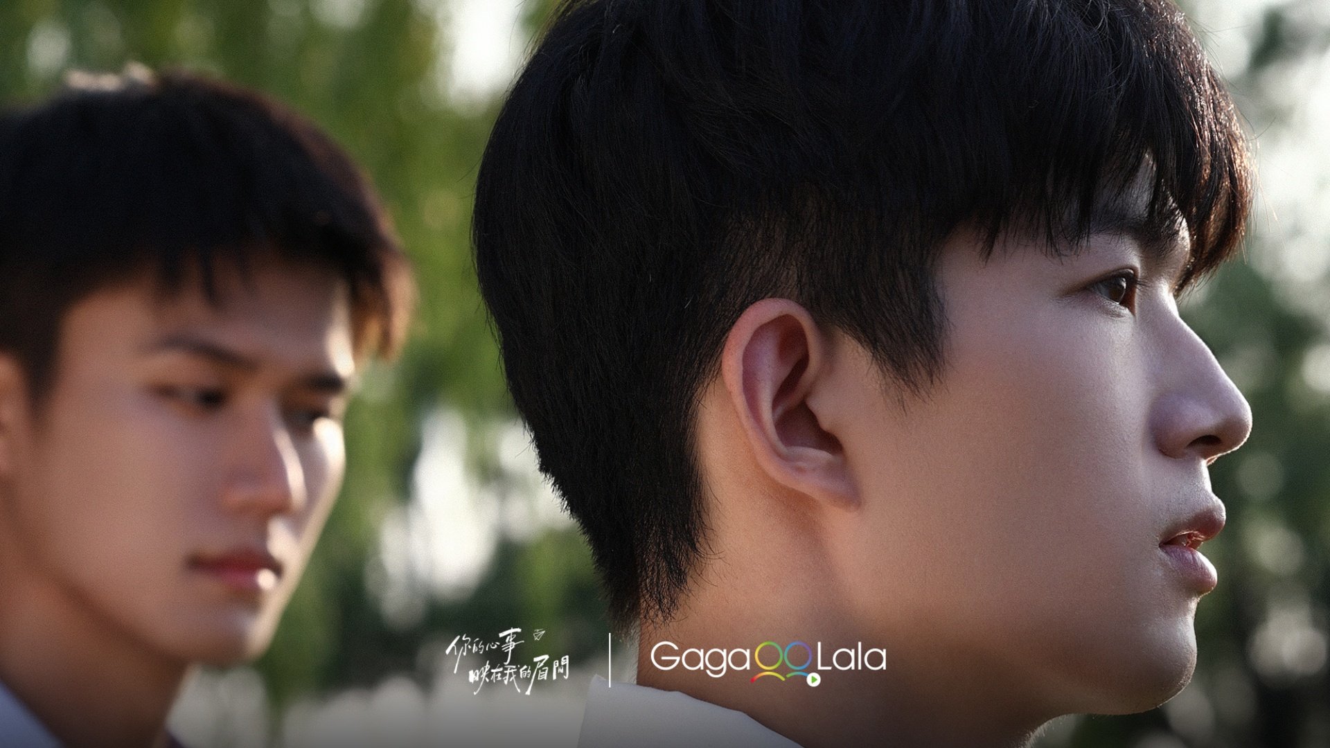 爆款名導章晚時重塑千禧年代美學原著作者親自坐鎮還原「白月光」情懷S 級經典 IP 改編《你的心事映在我的眉間》GagaOOLala 上線