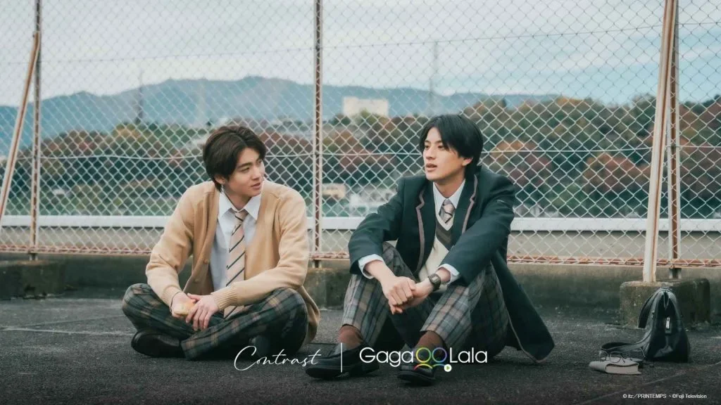 Why You Should Watch “Contrast”: The Newest Japanese BL on GagaOOLala