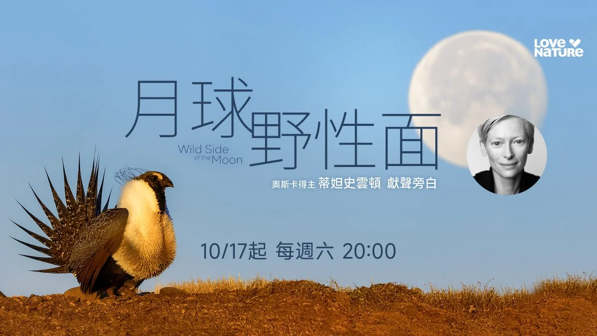 奧斯卡女神蒂妲史雲頓化身月光精靈獻聲旁白！《月球野性面》與《歐洲野性王國》10月雙強登Love Nature頻道