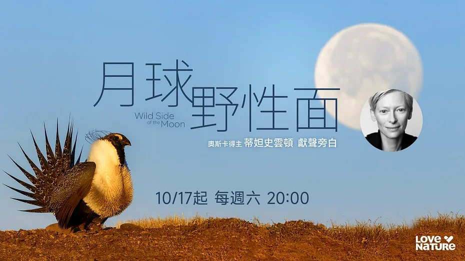 蒂妲史雲頓獻聲「月球野性面」！曝動物教她「耐心、善意、活在當下」