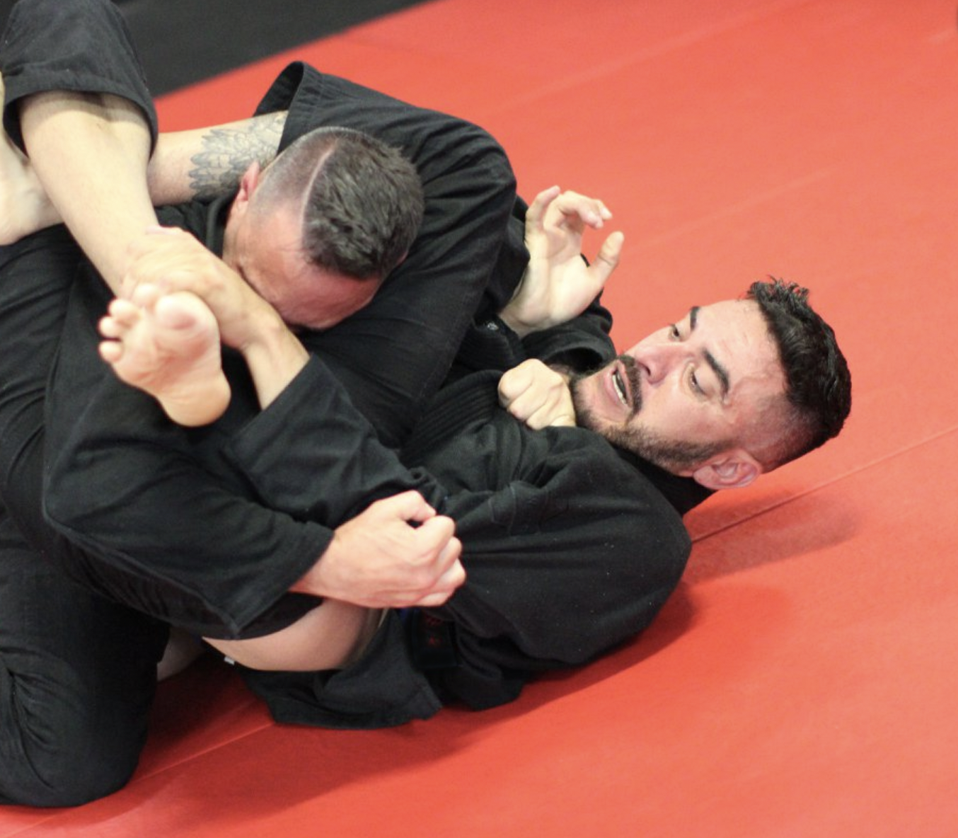 Screen Shot 2025-01-01 at 11.07.18 AM.png