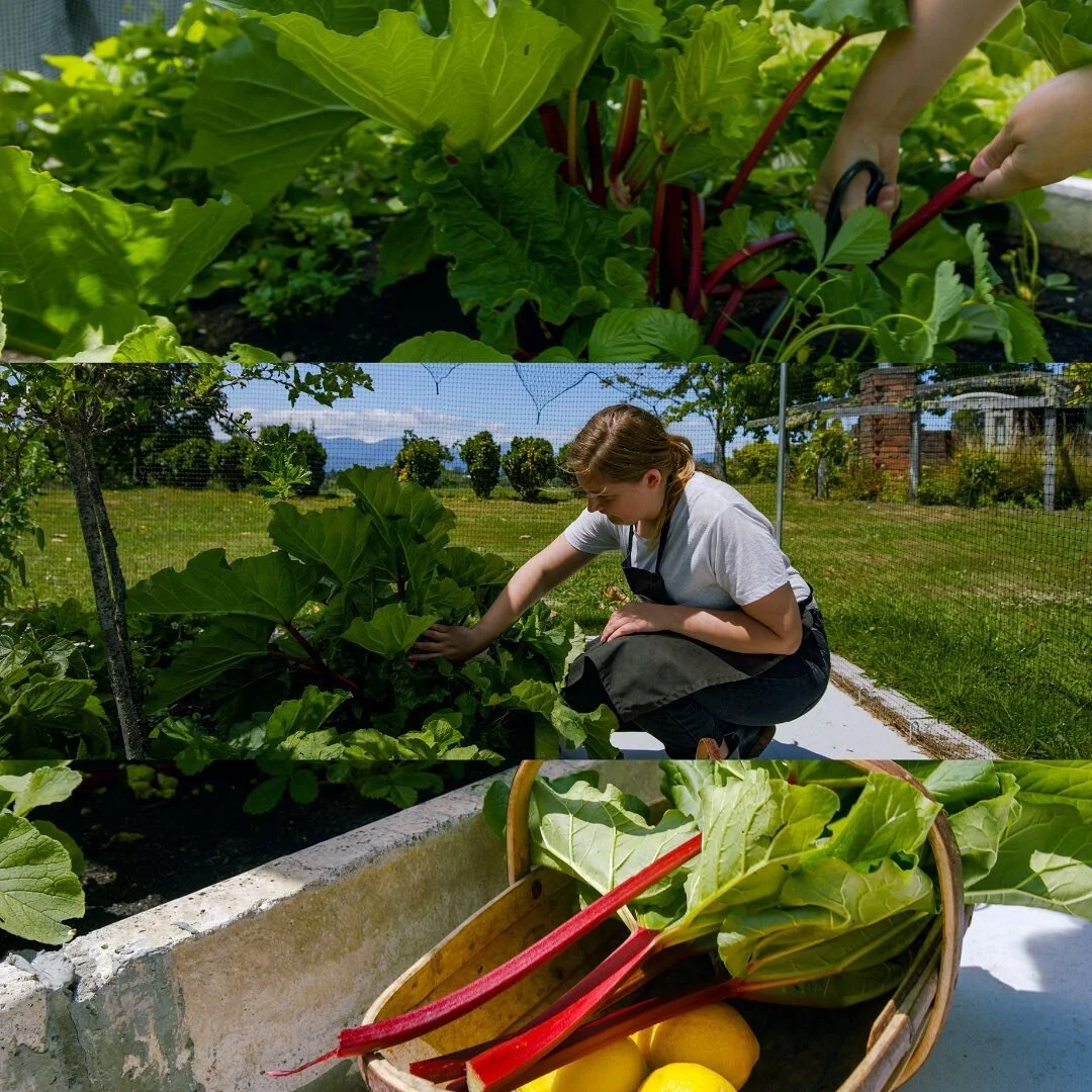 Some frames from a recent shoot here in @nelsontasmannz .
.
Shot on the @ursamini 
Graded with @butteryluts 
.
#nelsonnz #nelsontasman #nelsonshines #videography #filmakrs #ursamini #ursa #cinematography #foodvideography #dp #behindthescenes