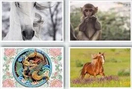 I am a Horse, Monkey, Dragon, Horse.