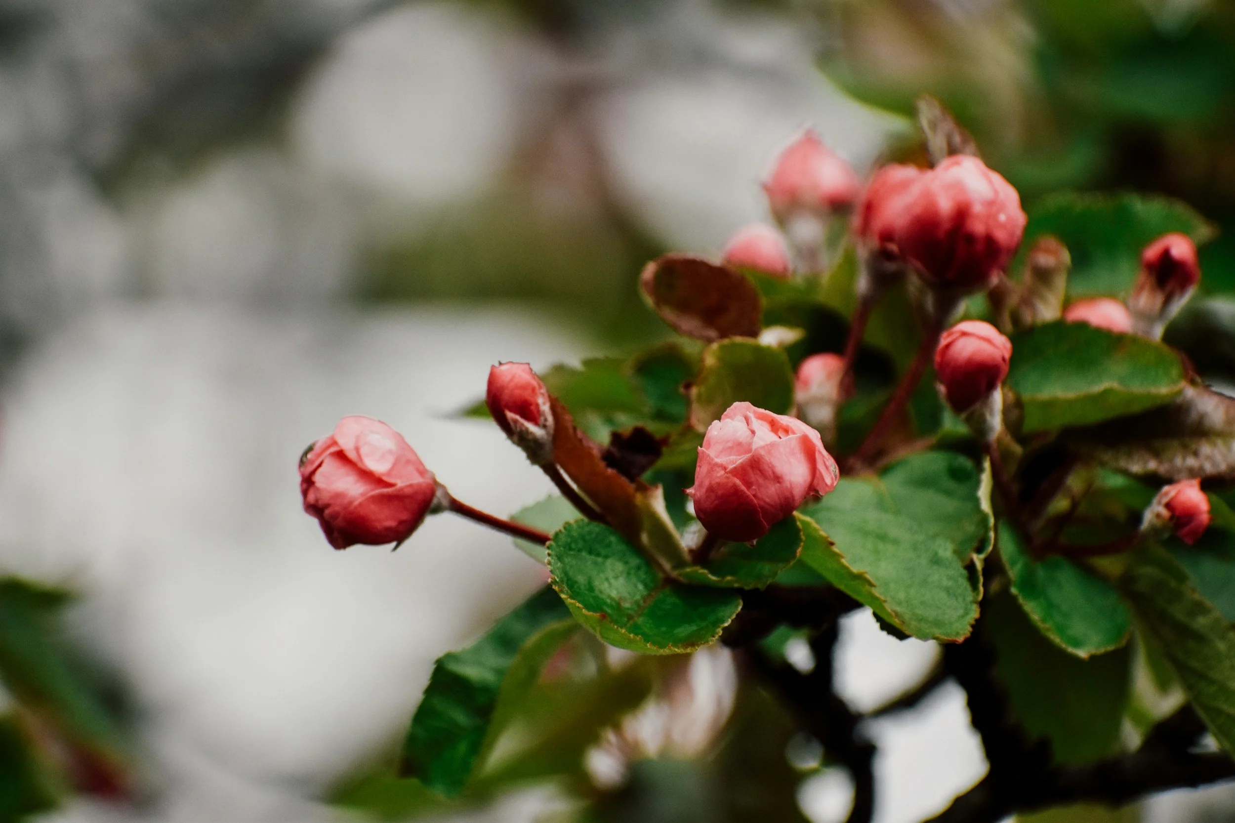 Values in Action: Small Choices That Change Your Life