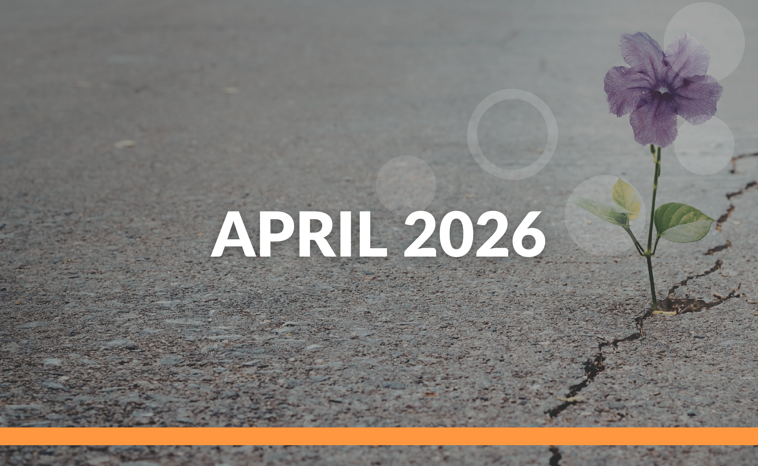 Global Circles Digest | Beyond the Headlines: Human Connections in a Time of War