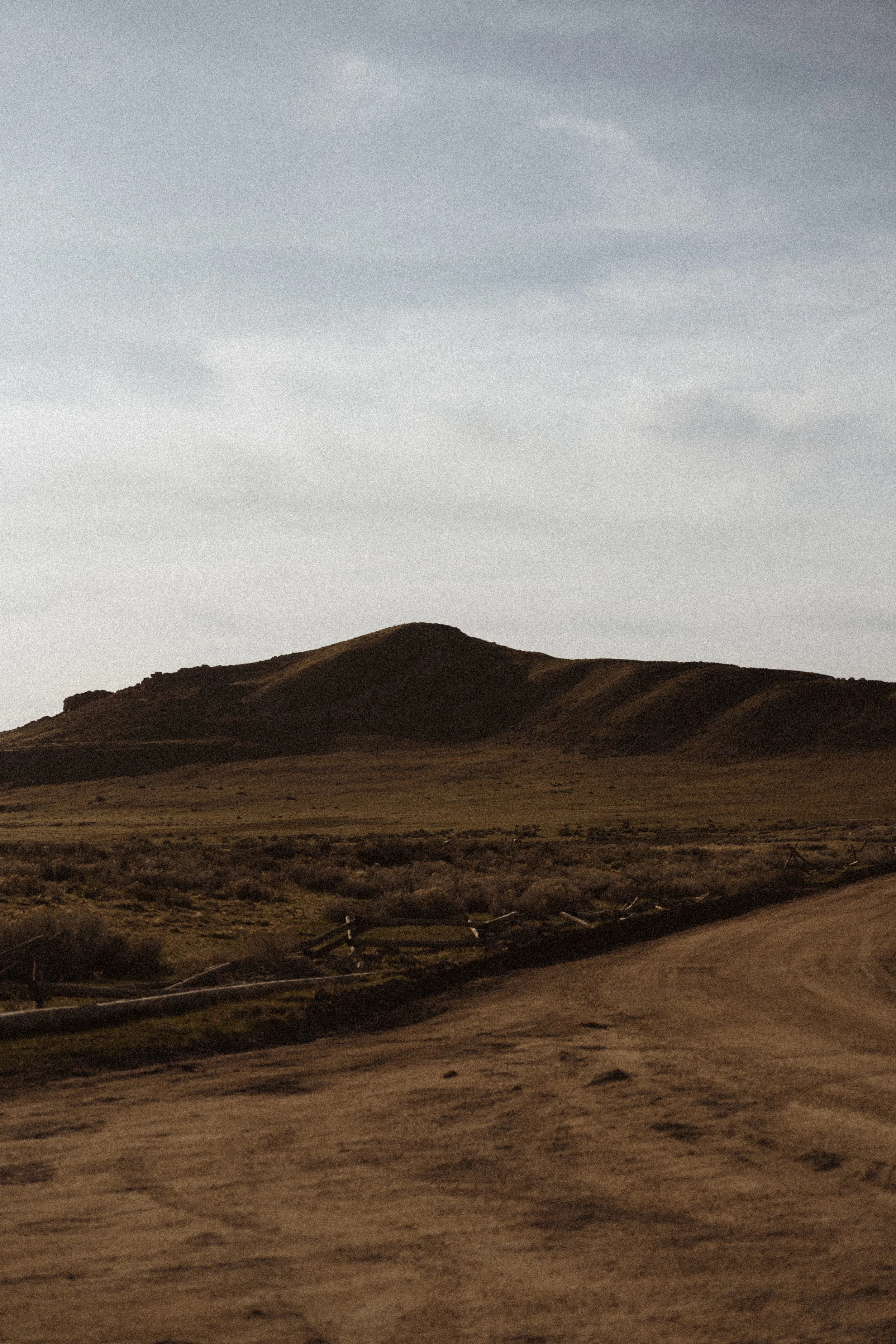 antelope-island-elopement-426.jpg