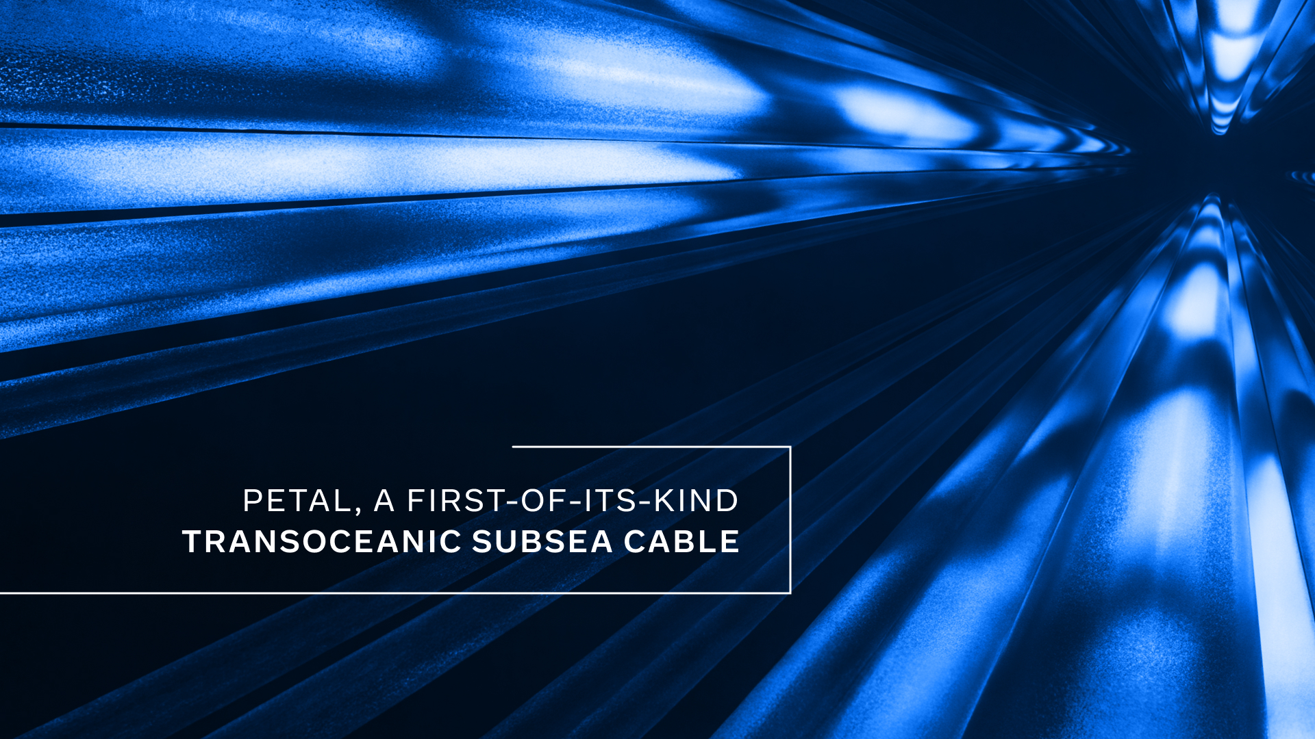 Announcing-Petal-a-First-of-its-Kind-Transoceanic-Subsea-Cable_Header.webp