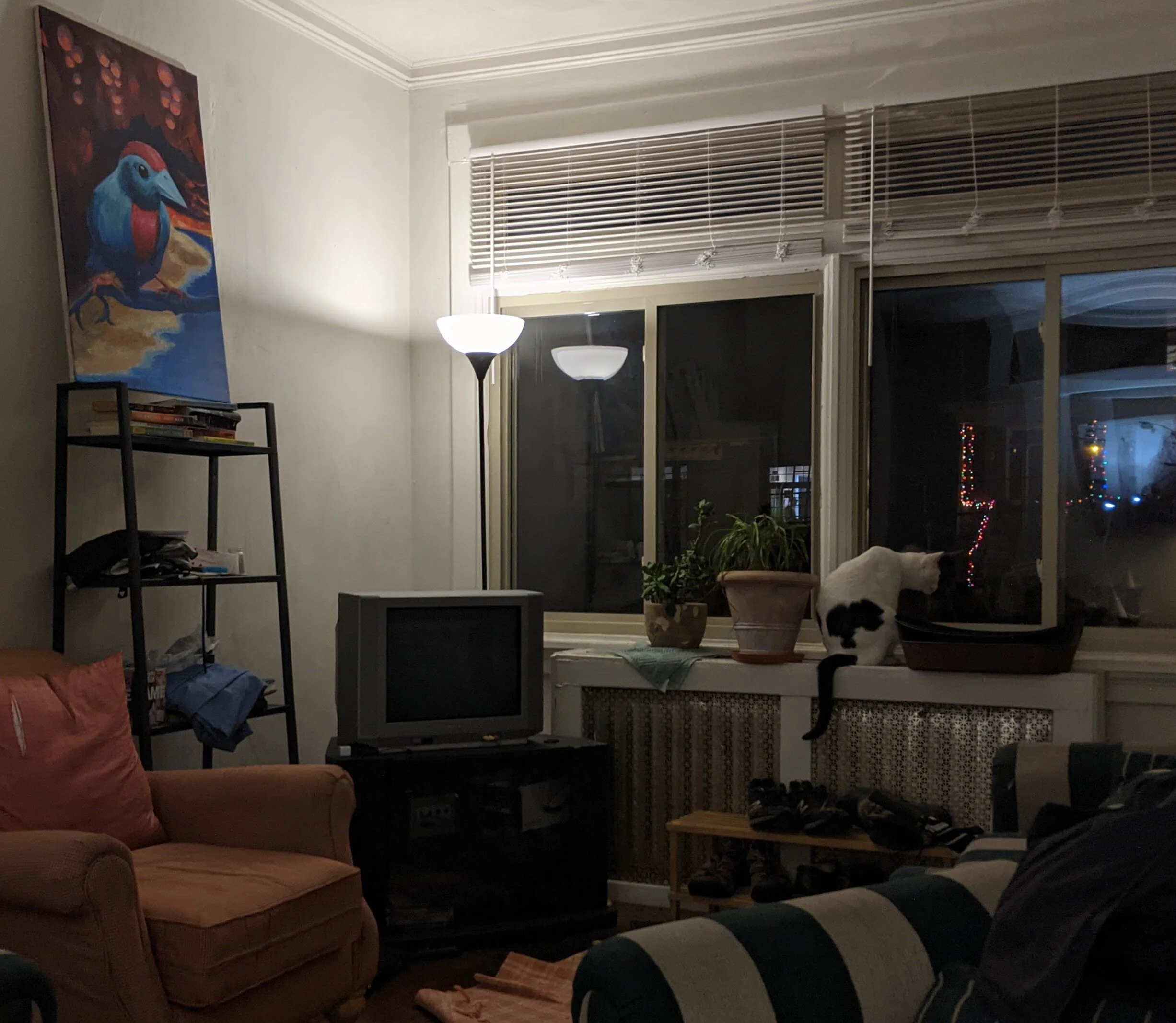Dear Living Room at Nighttime 