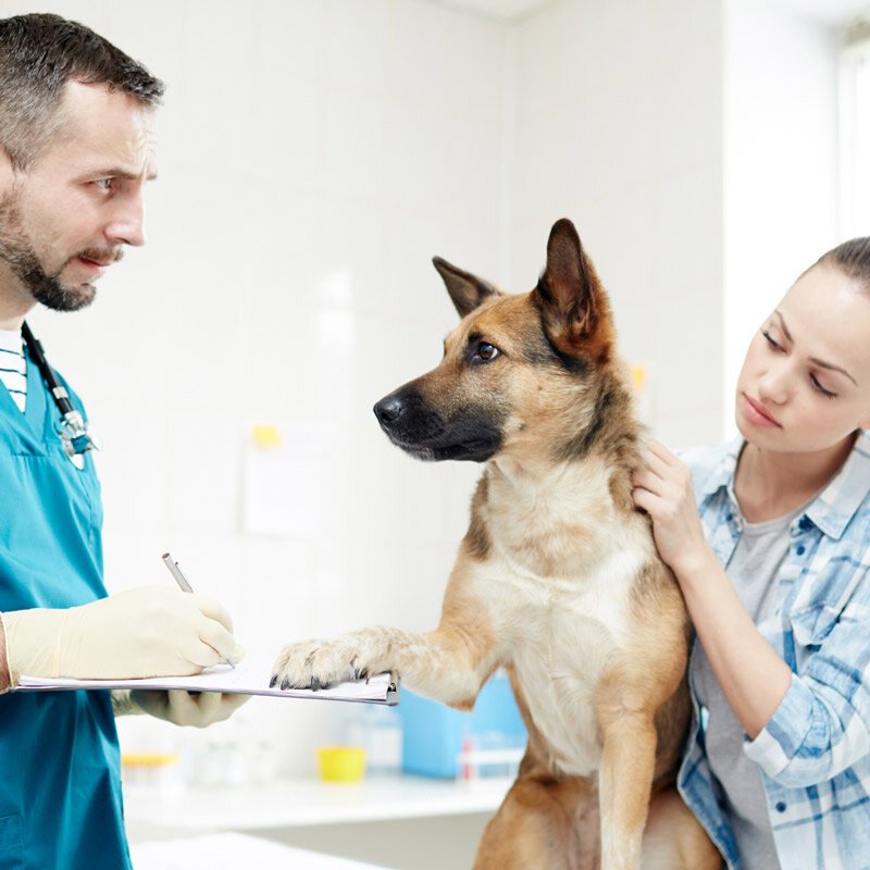 Could Your Veterinary Practice Be More Efficient?