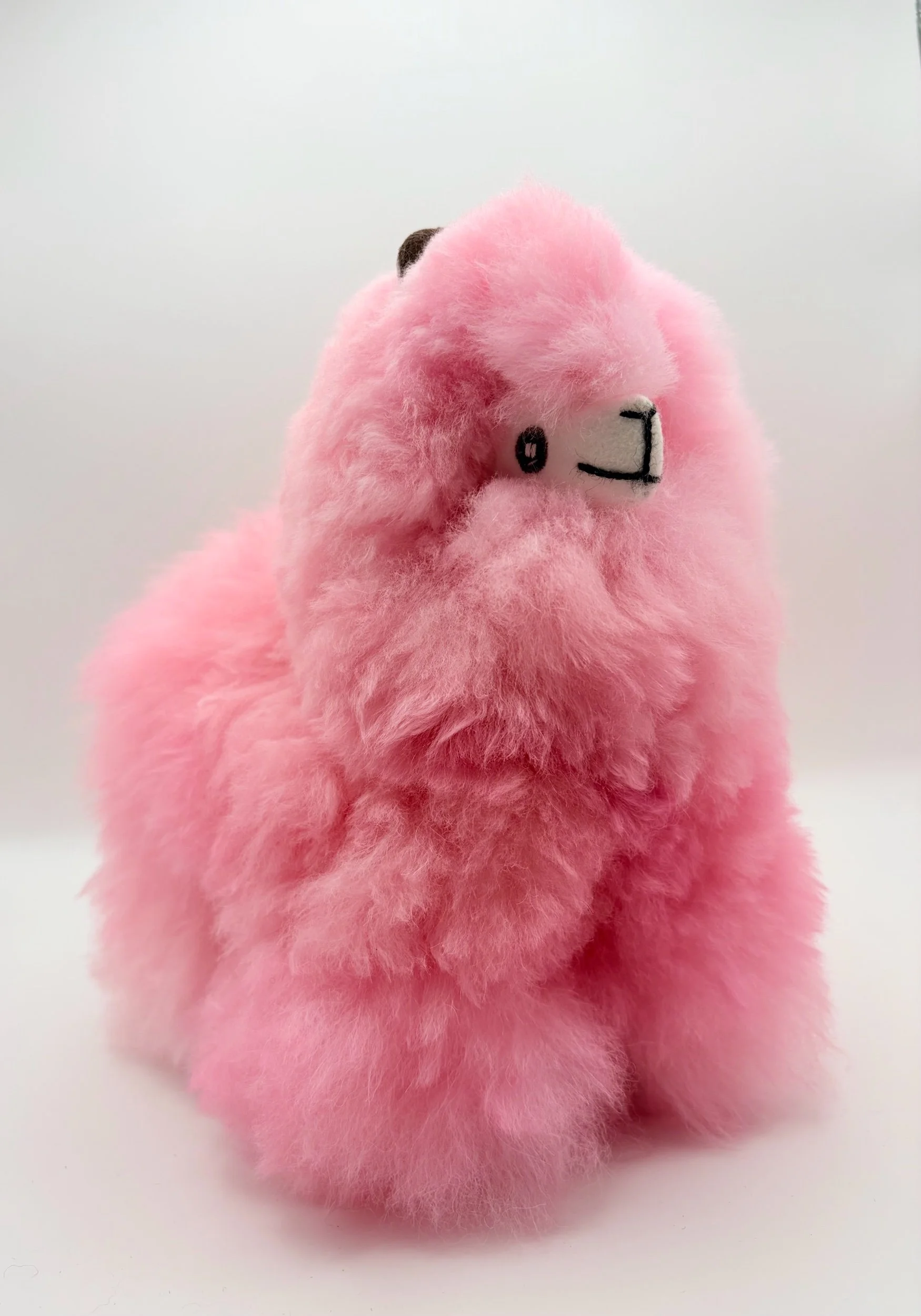 Peluche Alpaca Lama