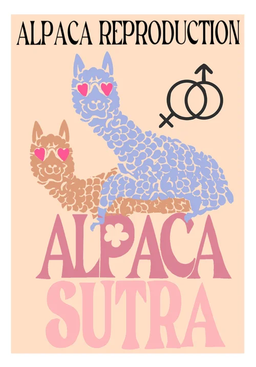 Maison de tricot spécialisée dans l’alpaga