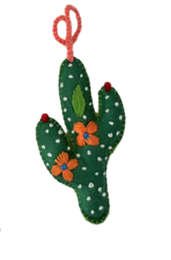 Cactus décoratif