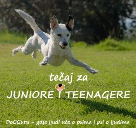 Tečaj za juniore i teenagere