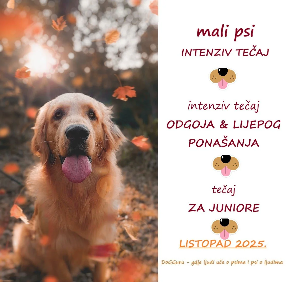 Tečajevi u listopadu