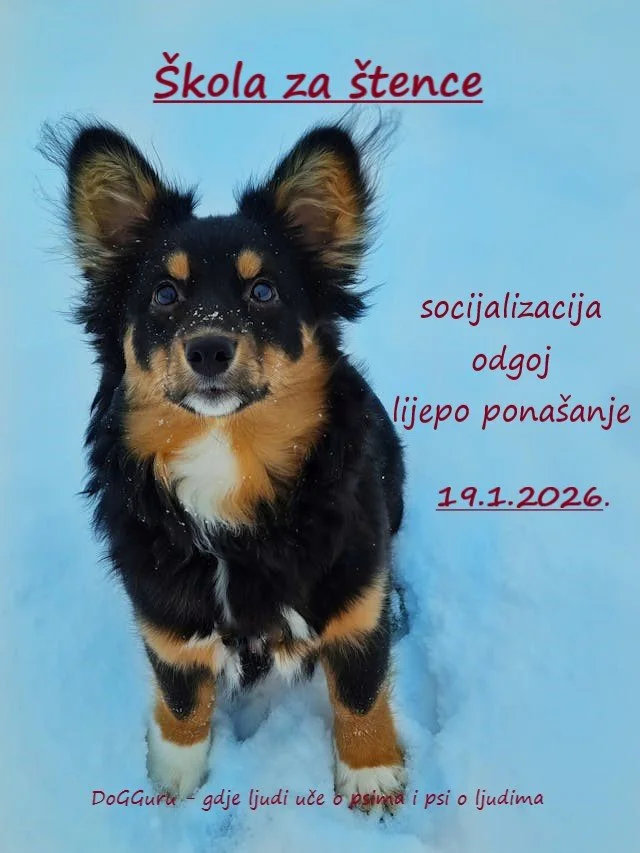 Škola za štence 2026.