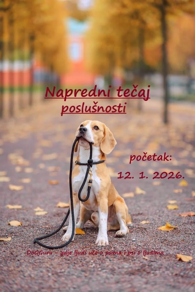 Napredni tečaj 