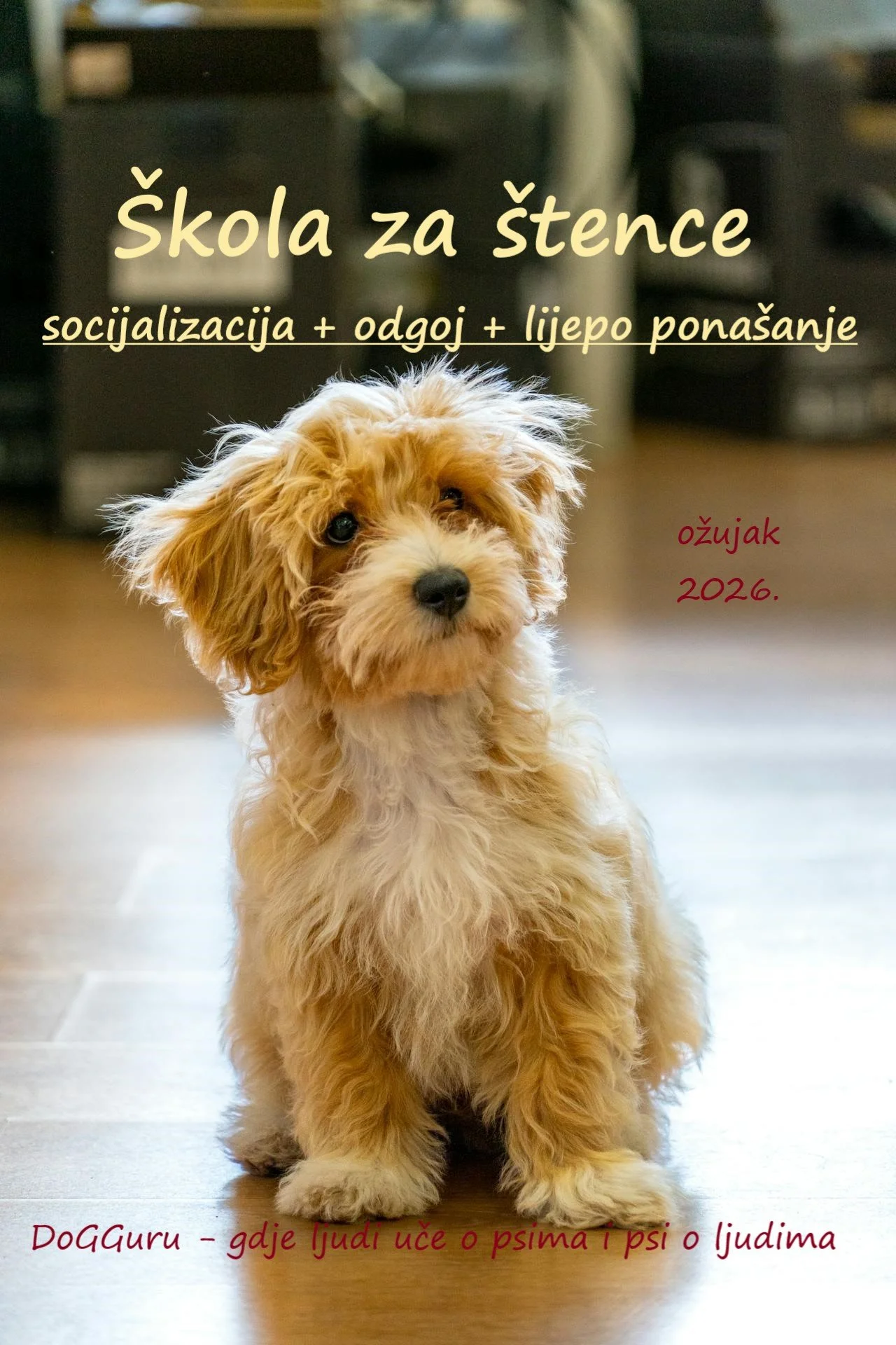 Škola za štence - ožujak