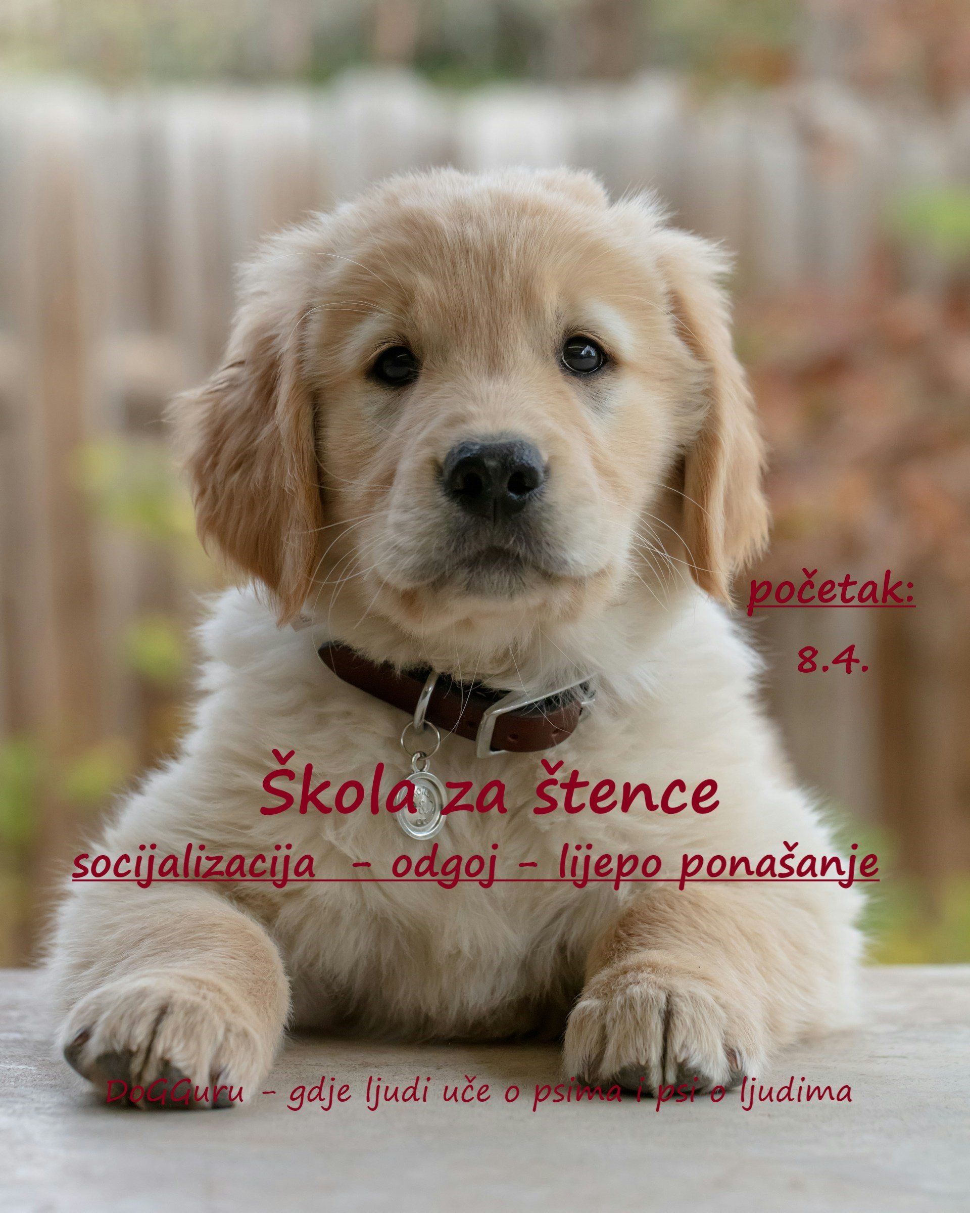 Nova Škola za štence