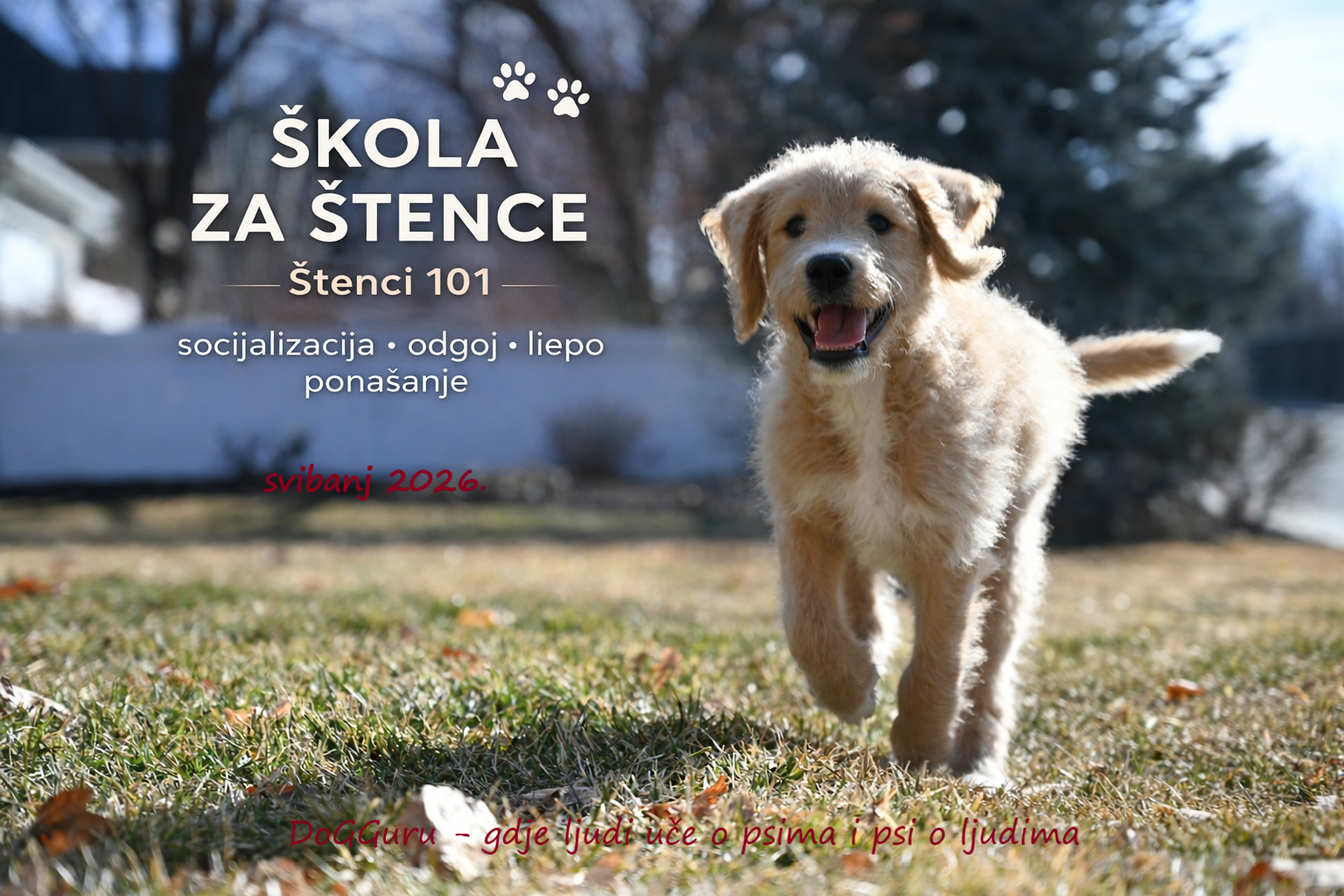 Škola za štence - svibanj 2026