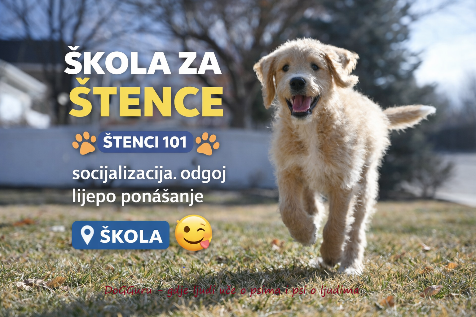 Škola za štence - svibanj 2026