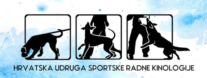 4 Fun utakmica