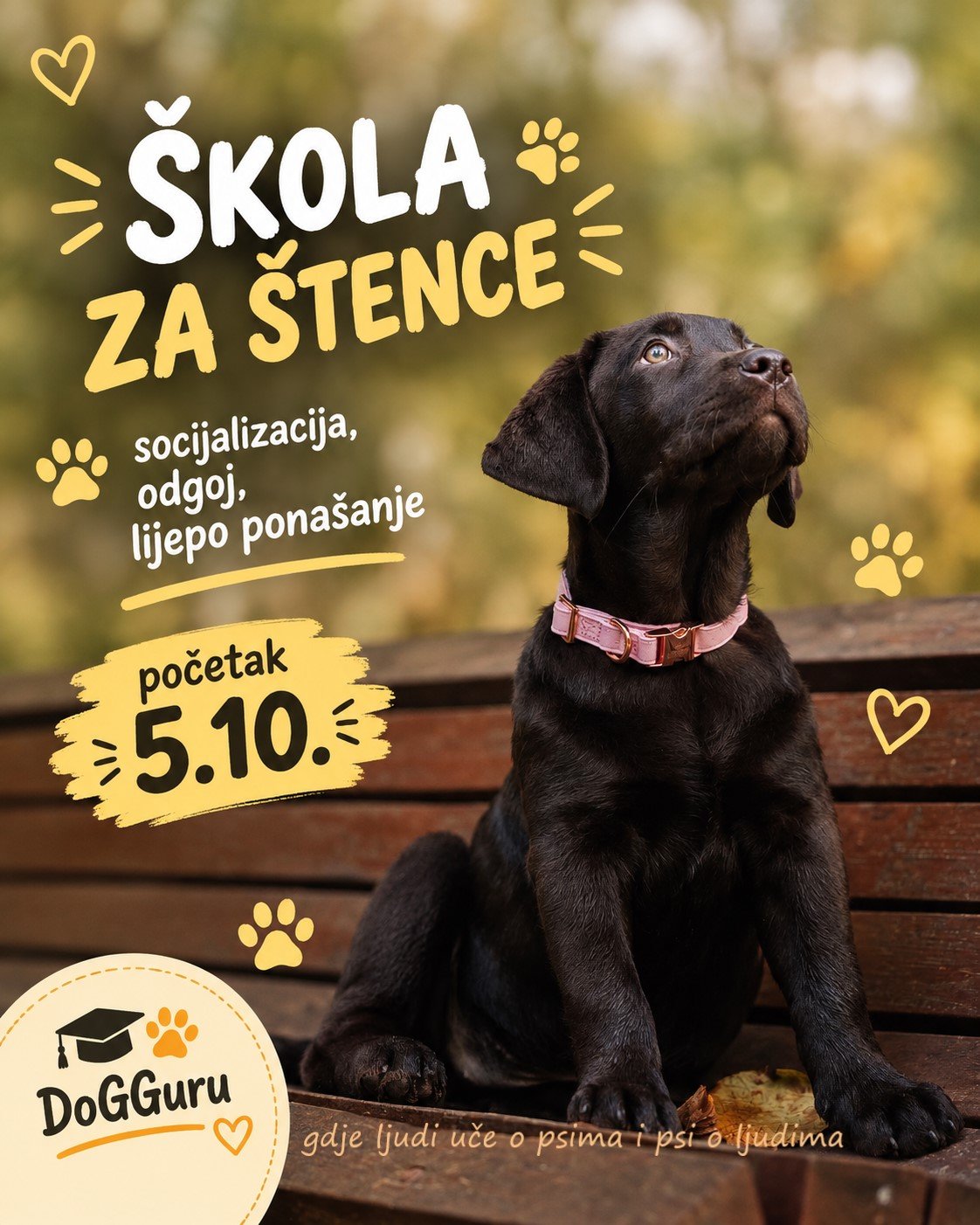 Škola za štence
