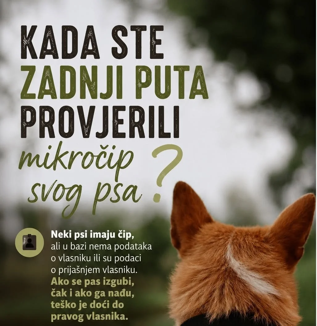 Mikročip 